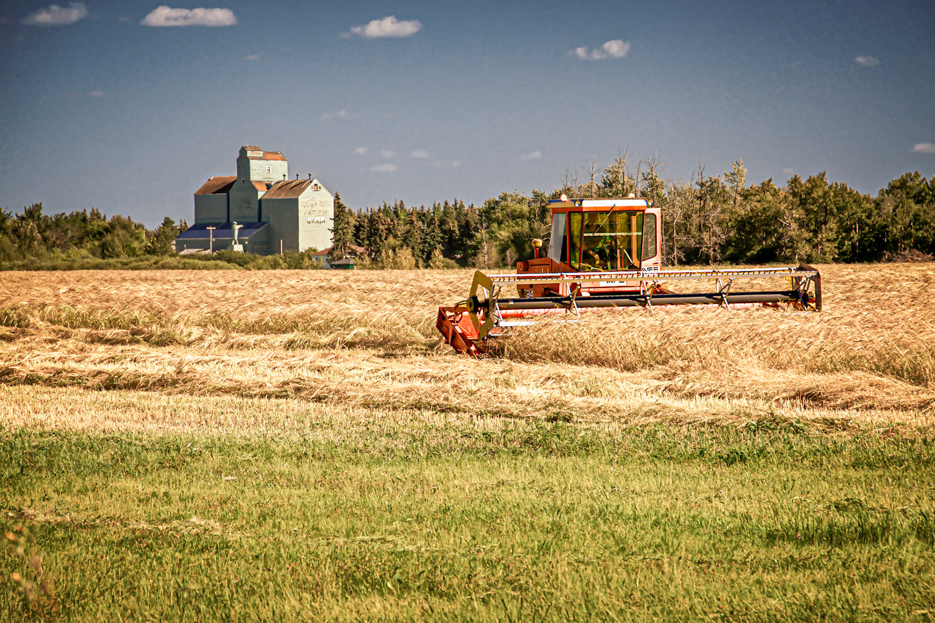 Swather at Andrew