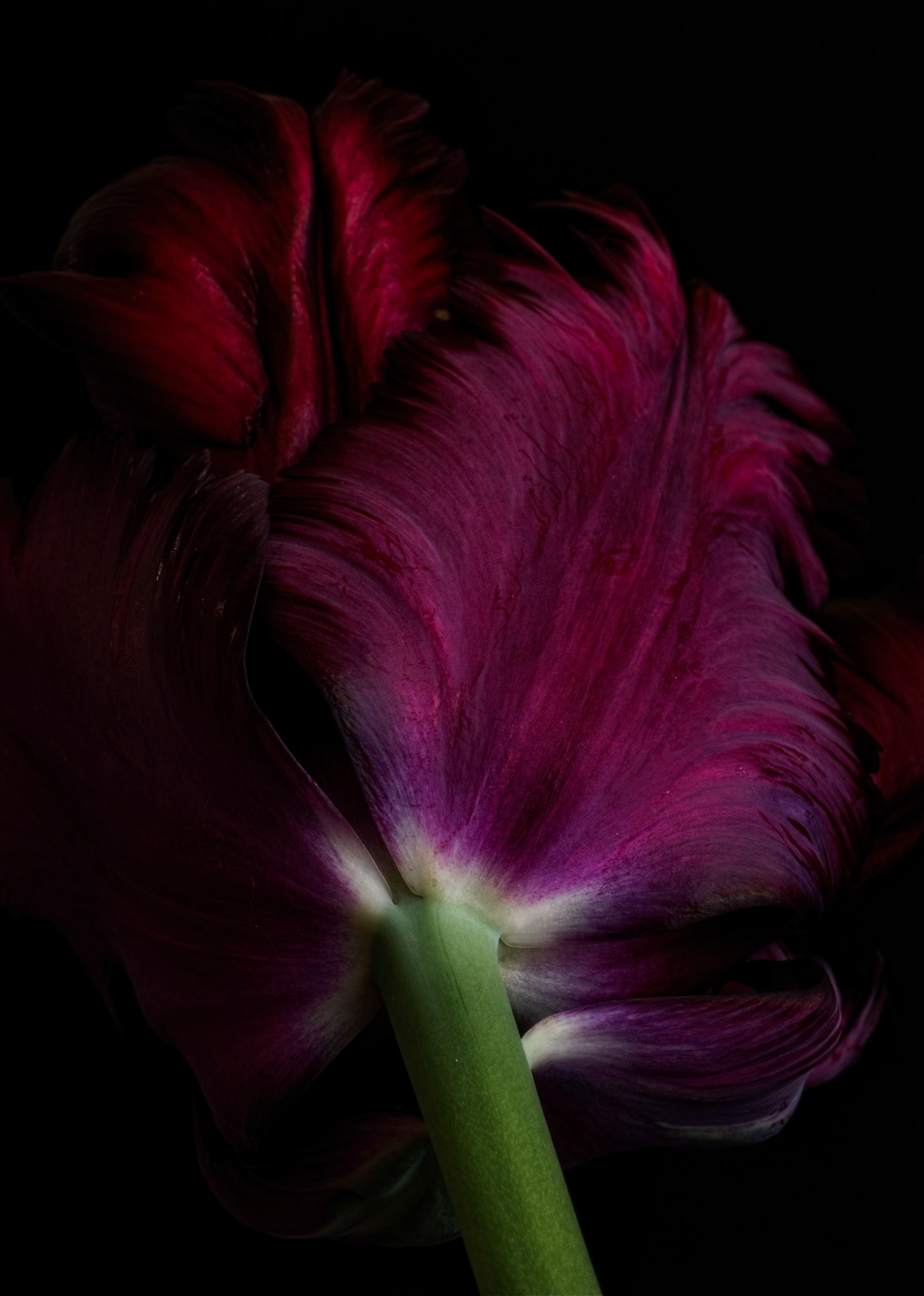 Sensual