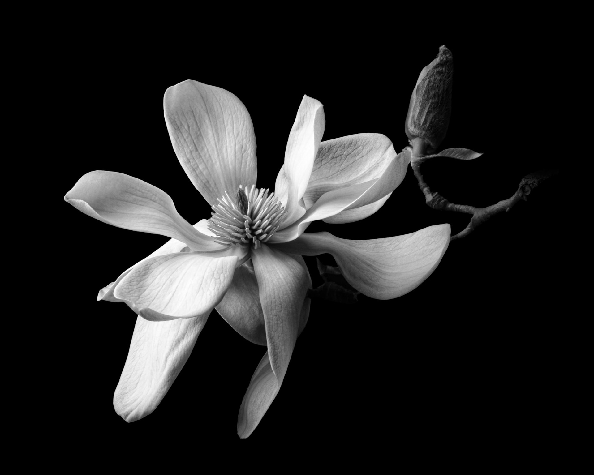 Song of Spring
