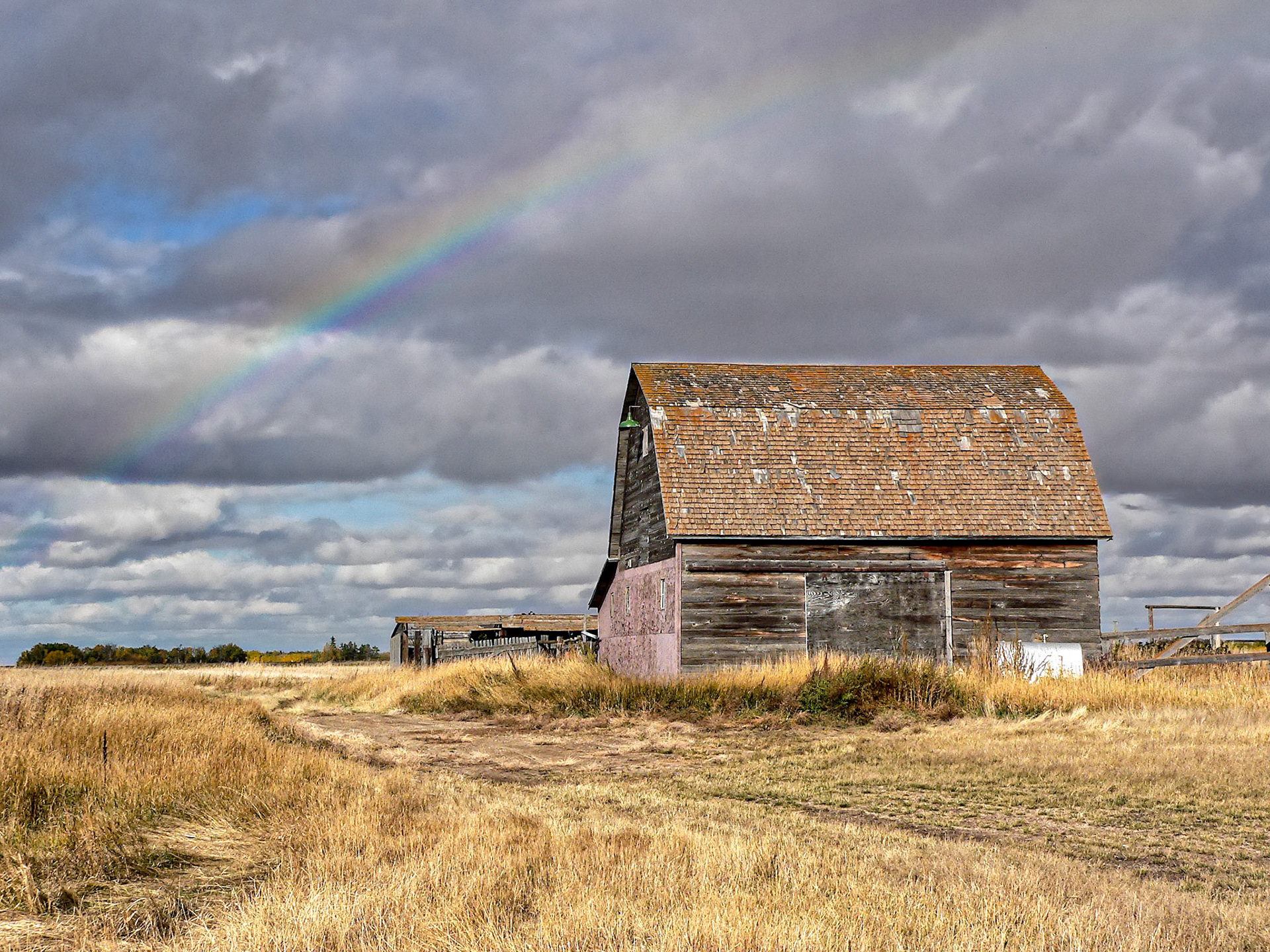 Saskatchewan Farm 2