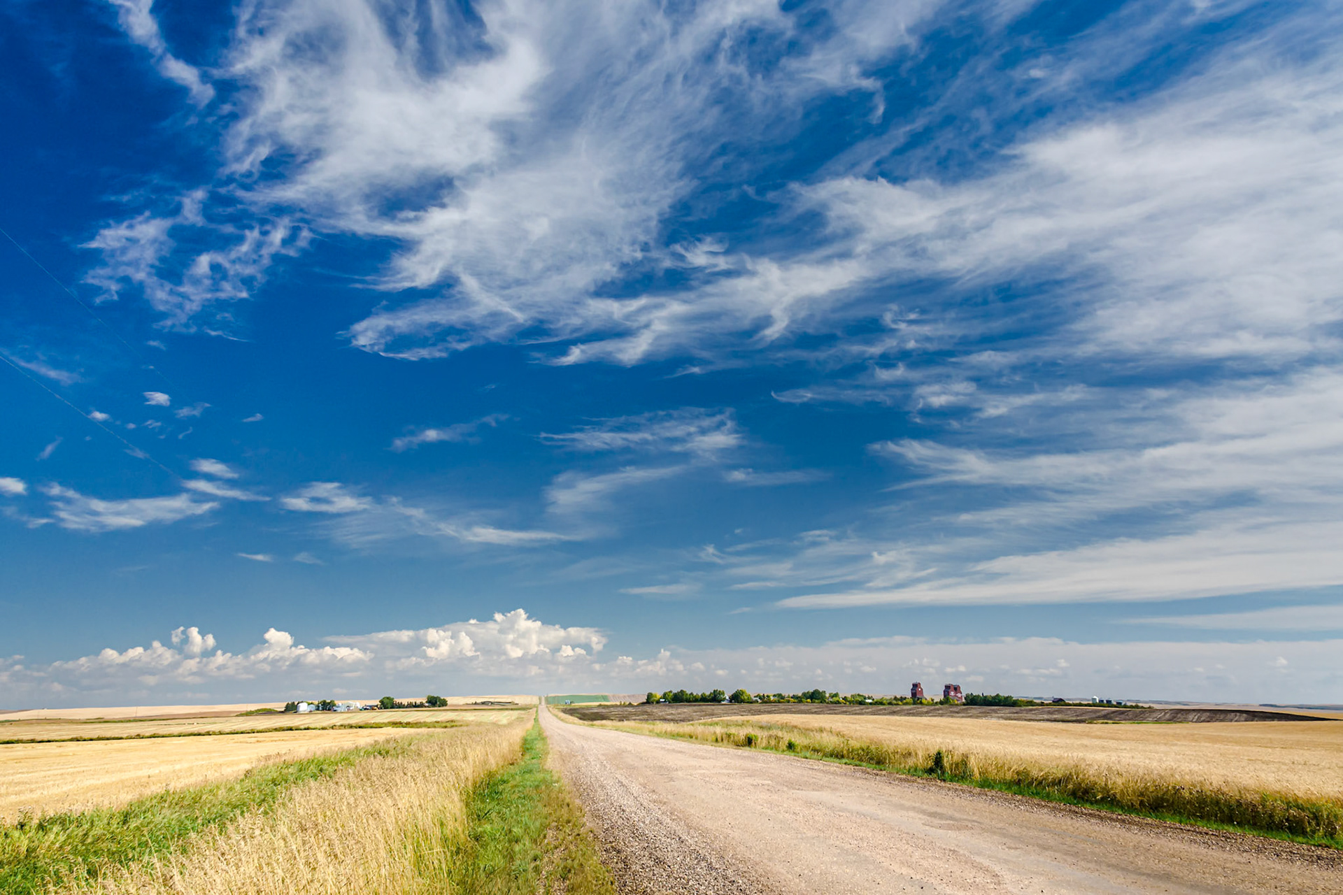 Song of the Open Road