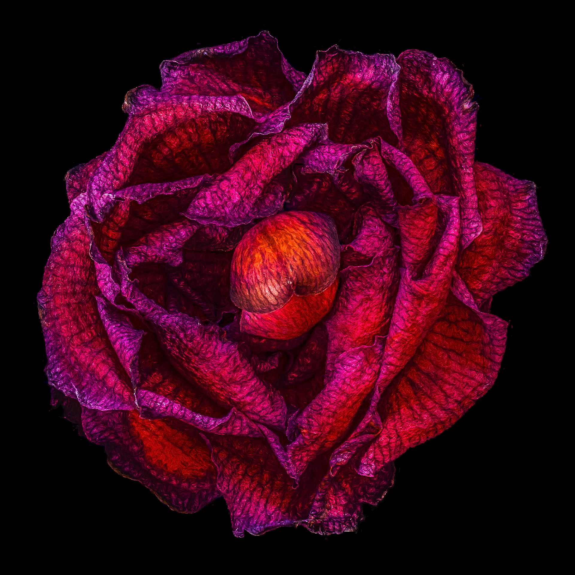 Wabi-Sabi Camellia