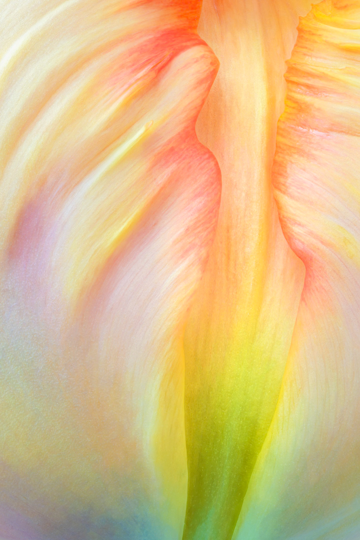 Simple Splendour