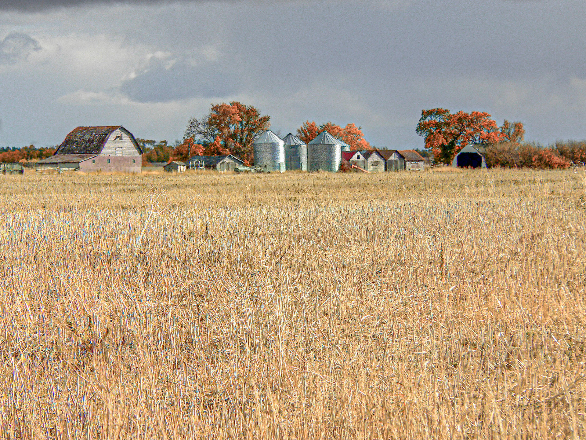 Saskatchewan Farm 1