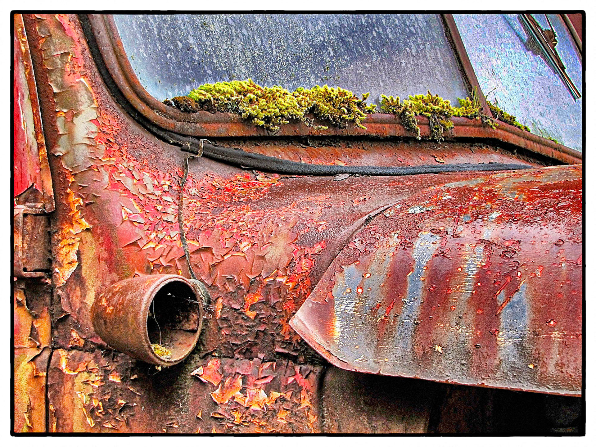 15x20" on metal - $300