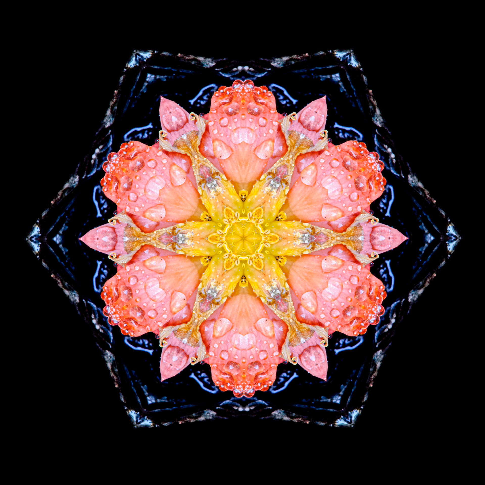 Rain Blossom Mandala No. 3