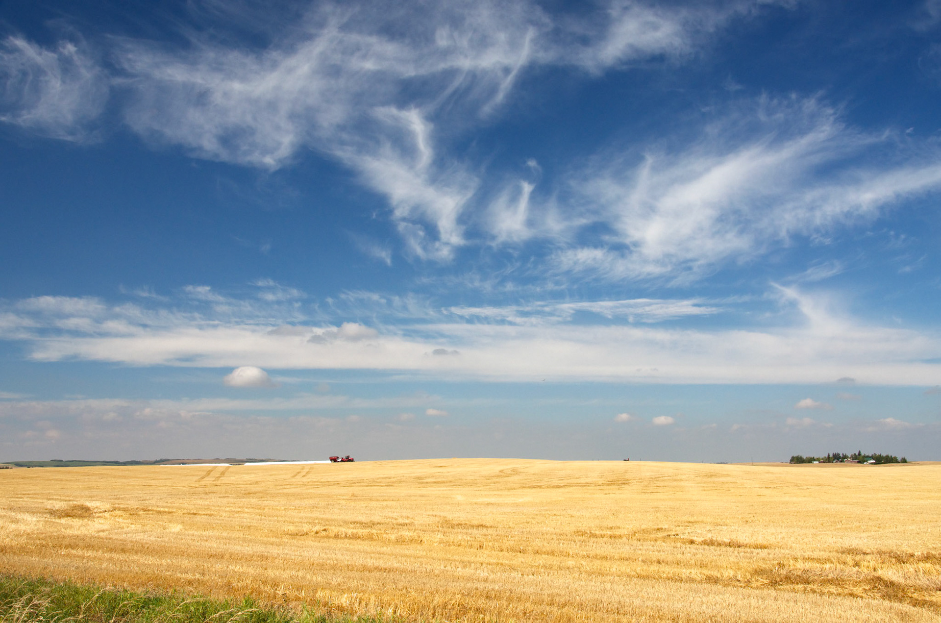 Labour Under a Big Sky
