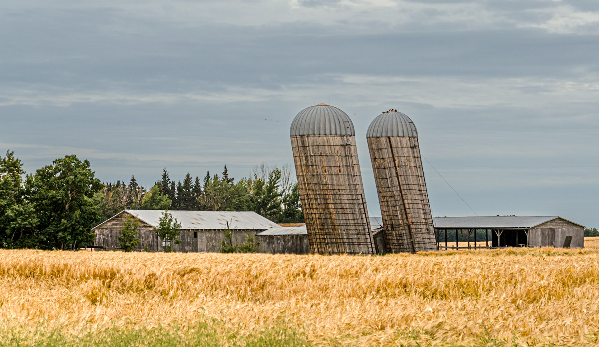 Leaning Silos