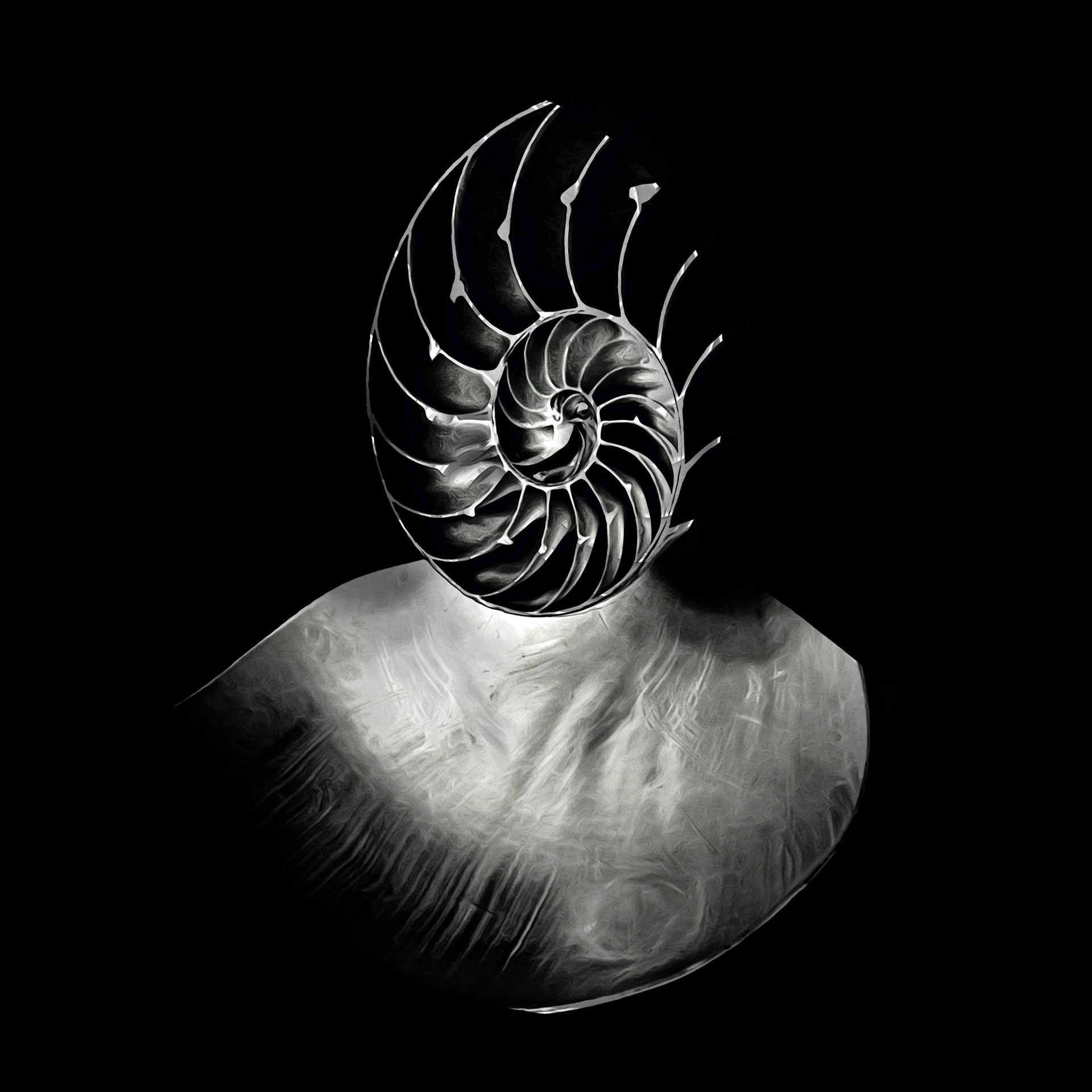 A Shell of Her Former Self