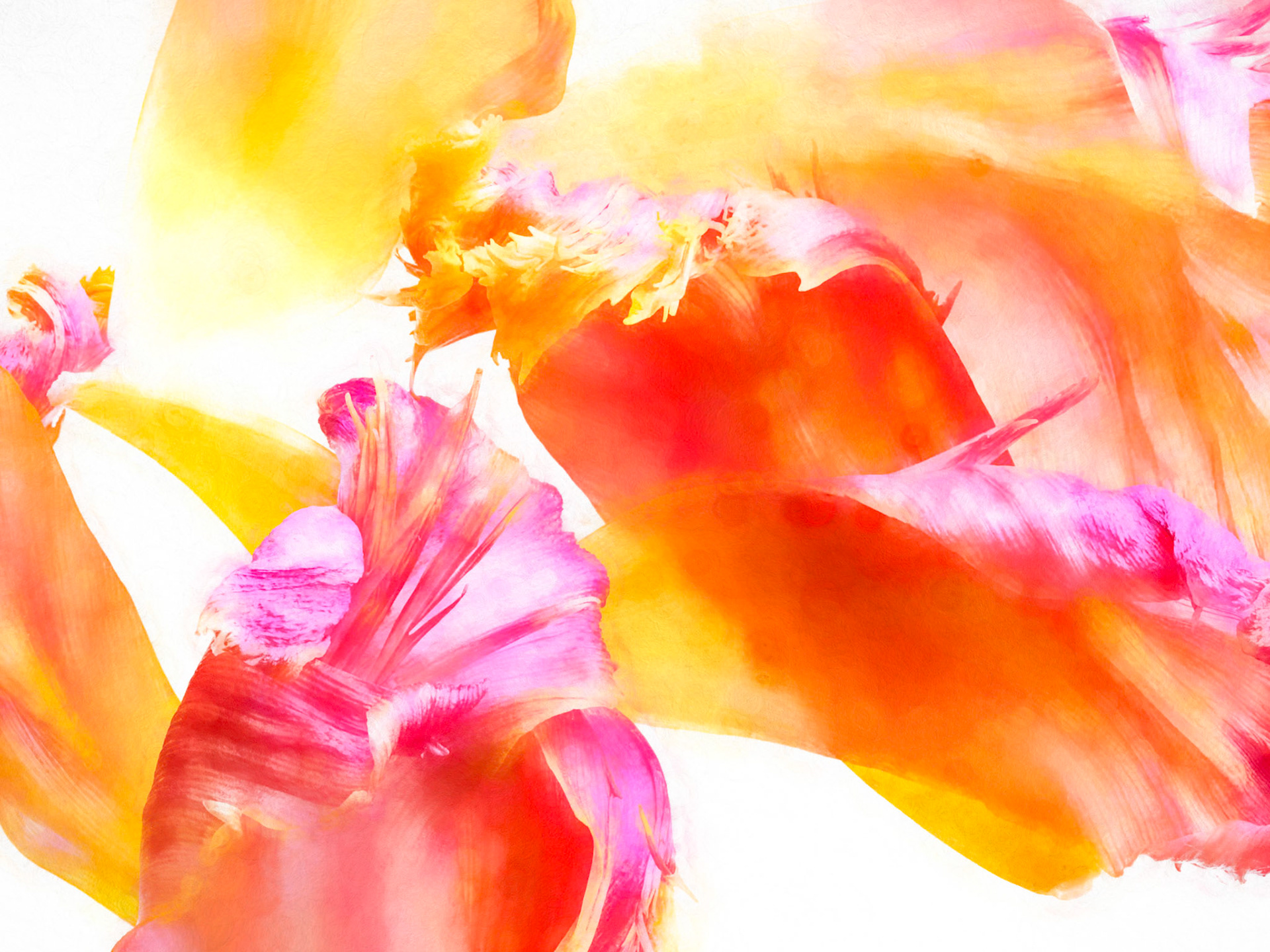 Petal Dance