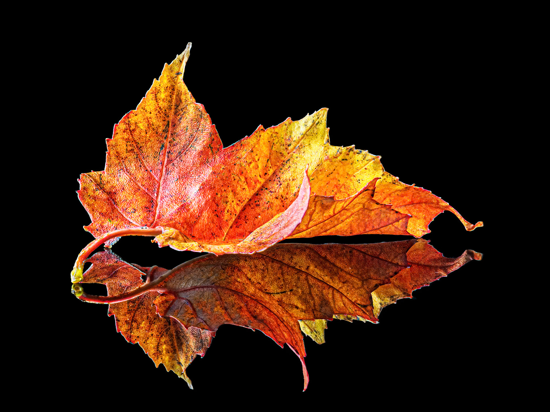October Flame