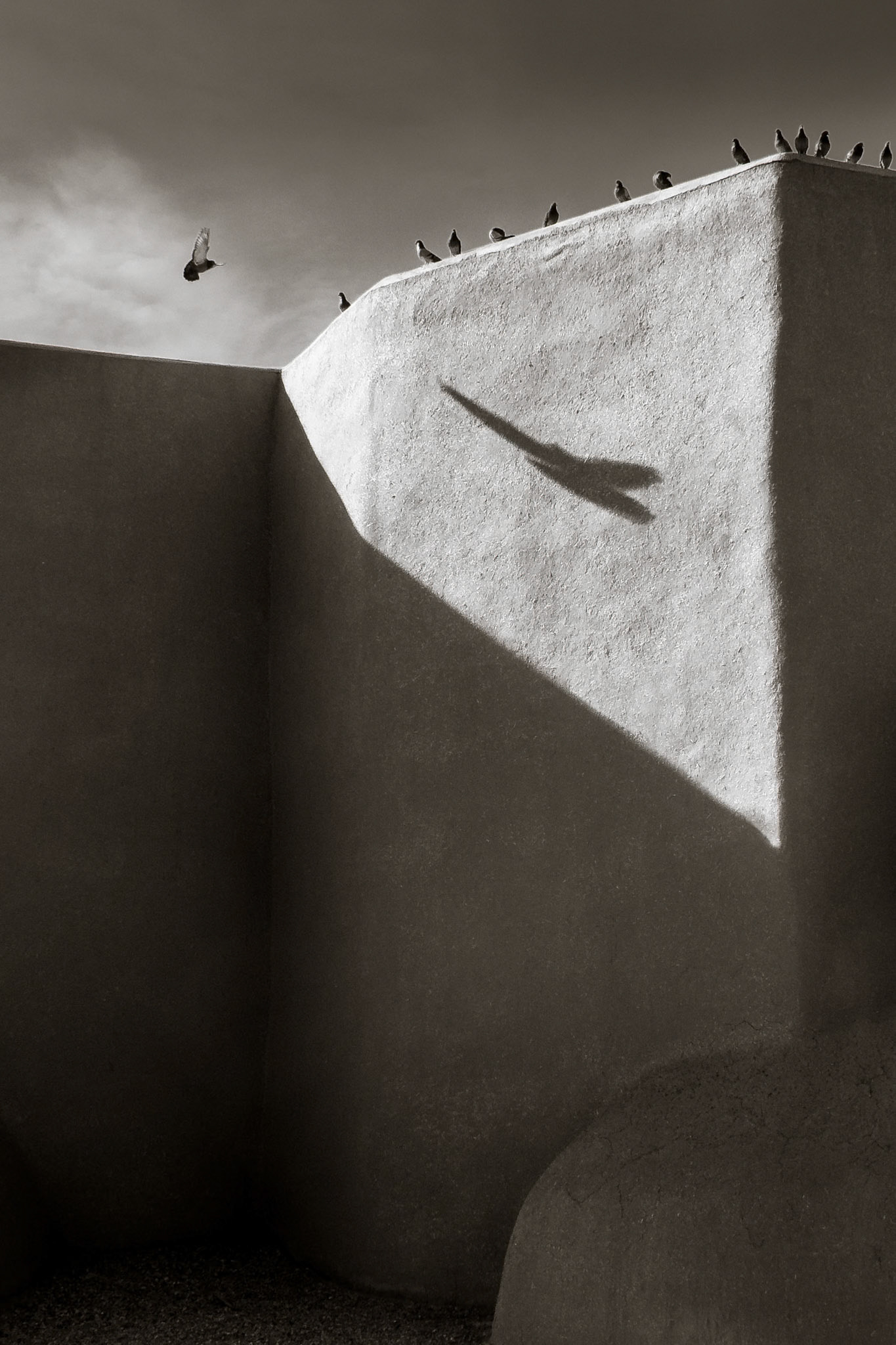 On the Wings of a Dove