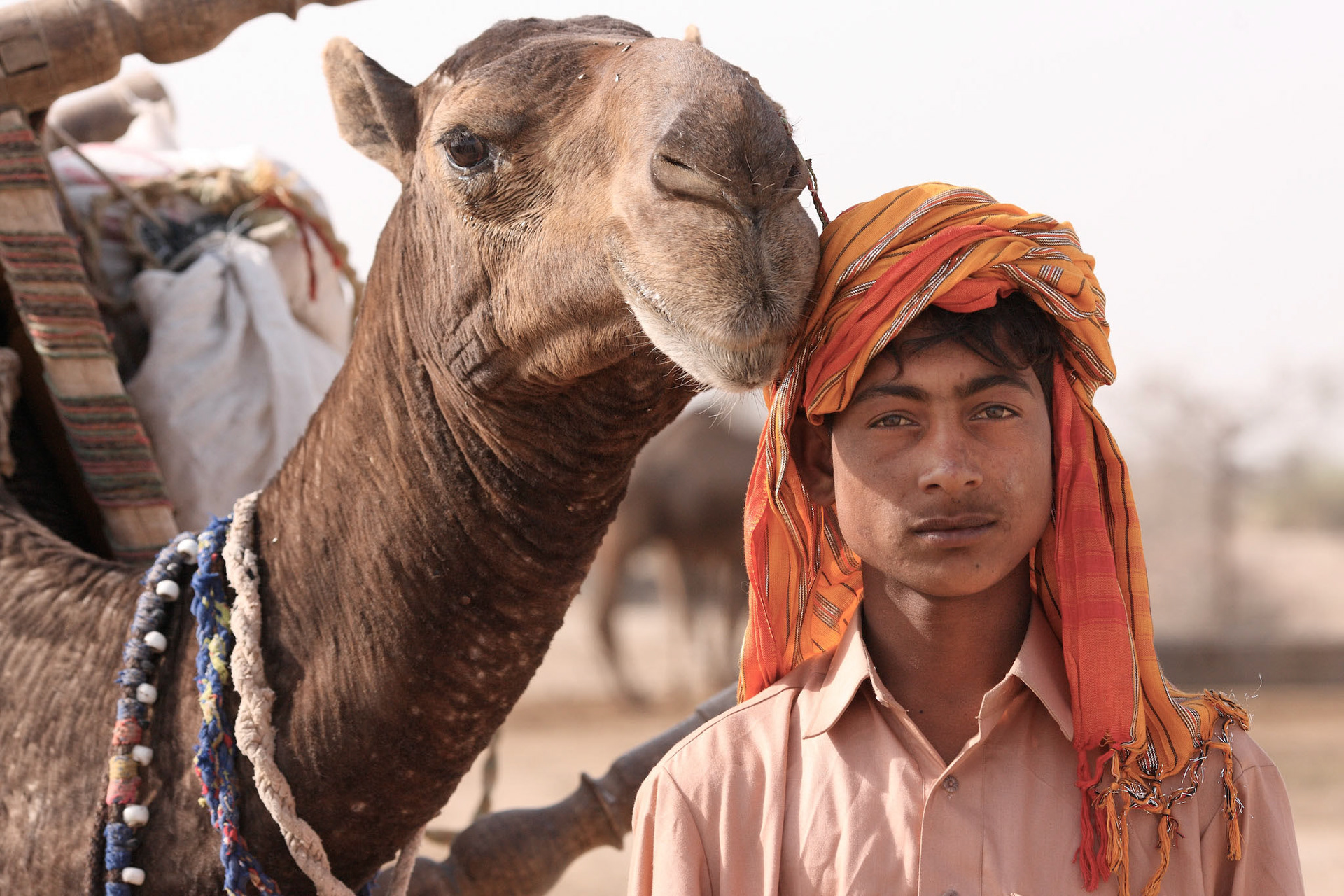 Suddenly, His camel came into the frame. This is such a lovely shoot. I felt there is a good relationship between a boy and a camel. (Travel)