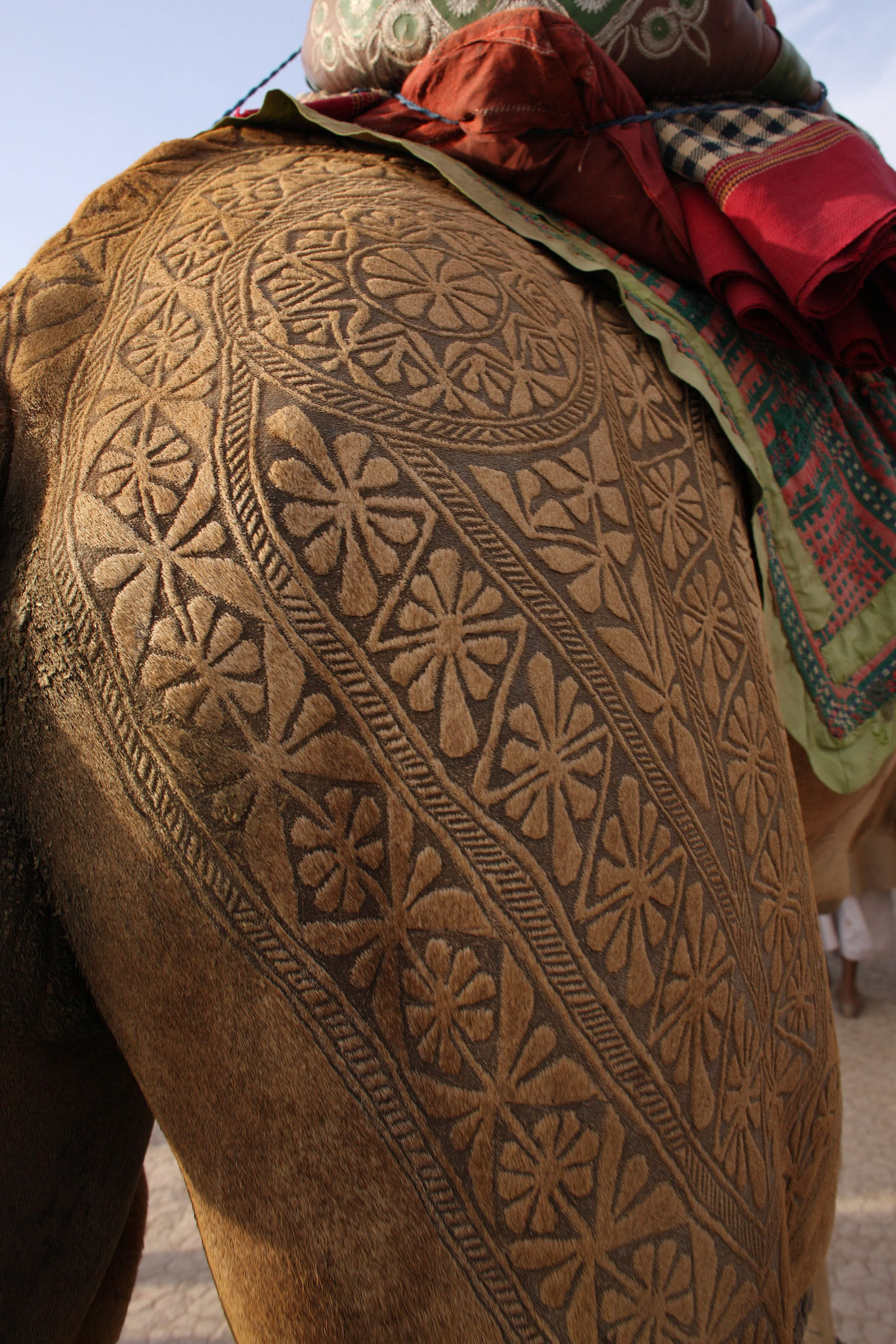 This is the Pakistan Camel beauty. The job takes about 3 years to make an engraved tatoo for an individual camels. First 2 years, there is just growing the hair and starts trimming. Inhabitant of desert does not use the iron engraved for the camels. They just cut and dye the camel hair. I have never seen such a beautiful works in the world. (Travel)