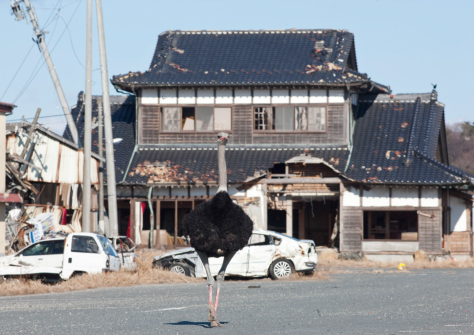 FUKUSHIMA 20KM EXCLUSION ZONE, Japan -- Destoryed houses stil remain same situation as March 11, 2011 inside Fukushima 20km exclusion zone. The Japanese government officially announced that the evacuation zone would be extended from the 20 km "circular" zone to an irregular zone extending northwest of the Fukushima on Apr. 22, 2011.