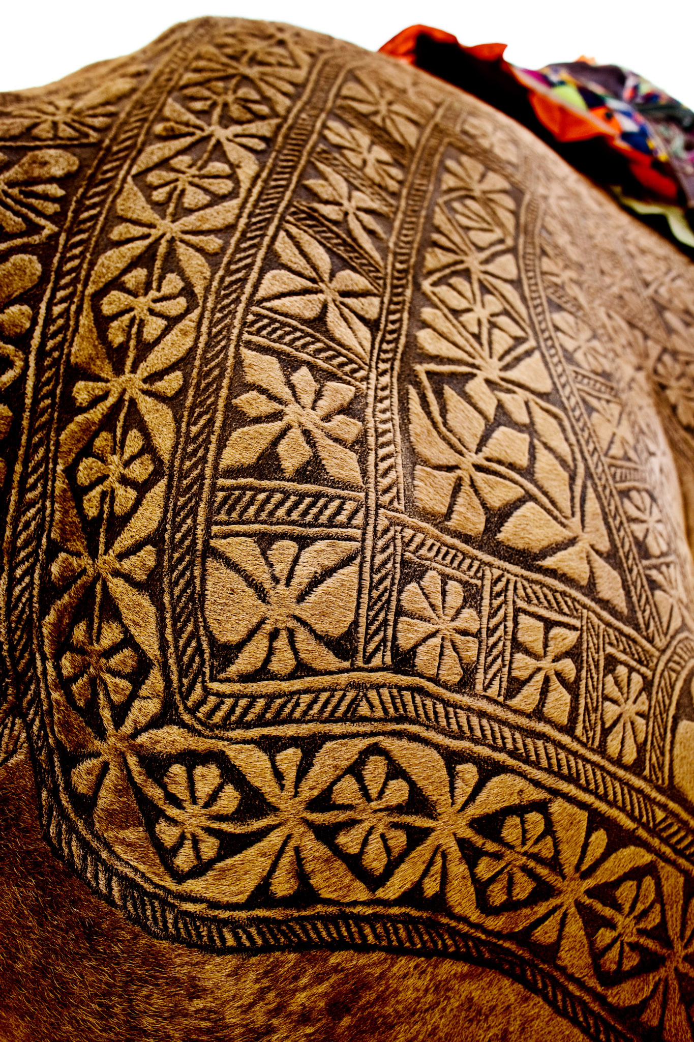 This is the Camel beauty in Cholistan desert, Pakistan. The job takes about 3 years to make an engraved patterns for an individual camels. First 2 years, there is just growing the hair. After that, starts trimming. Inhabitant of desert does not use the iron engraved for the camels. They just cut and dye the camel hair. I have never seen such a beautiful works in the world.