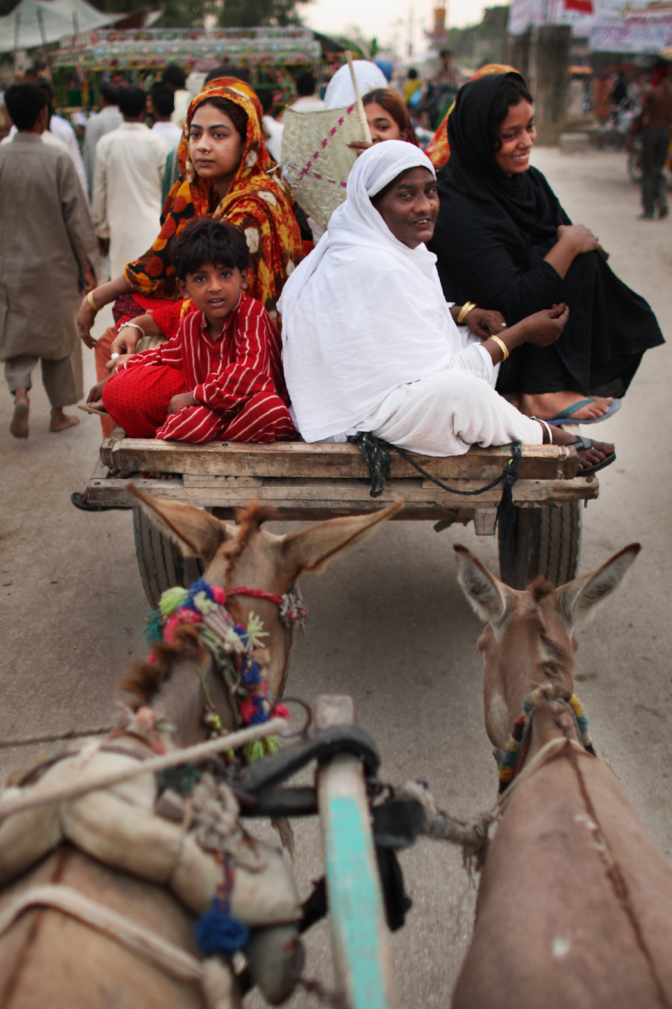 Sufi Pilgrims arrived at Sehwan Sharif and took a public transportation to go their place for staying here, sehwan sharif for a week. (Travel)