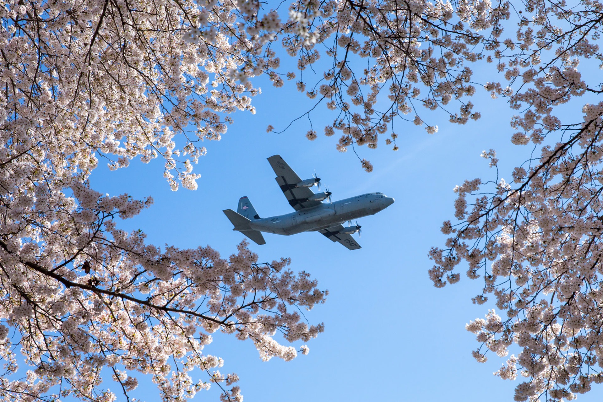 An Air Force C-130J Super Hercules assigned to the 36th Airlift Squadron flies over Yokota Air Base, Japan, during a training mission, March 30, 2018. Sakura trees bloomed at Yokota eight days earlier that last year. (U.S. Air Force photo by Yasuo Osakabe)