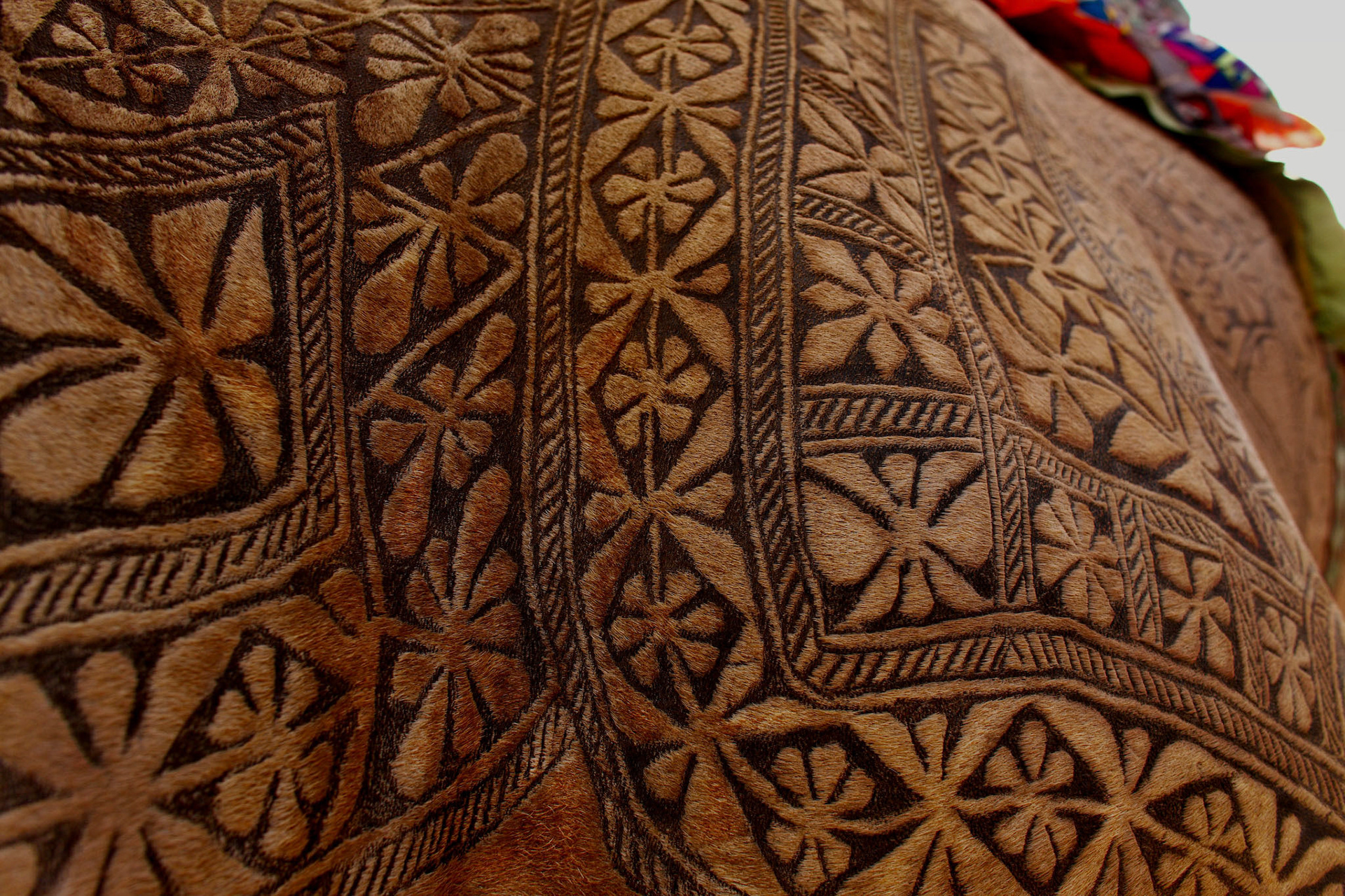 This is the Pakistan Camel beauty. The job takes about 3 years to make an engraved tatoo for an individual camels. First 2 years, there is just growing the hair and starts trimming. Inhabitant of desert does not use the iron engraved for the camels. They just cut and dye the camel hair. I have never seen such a beautiful works in the world. (Travel)