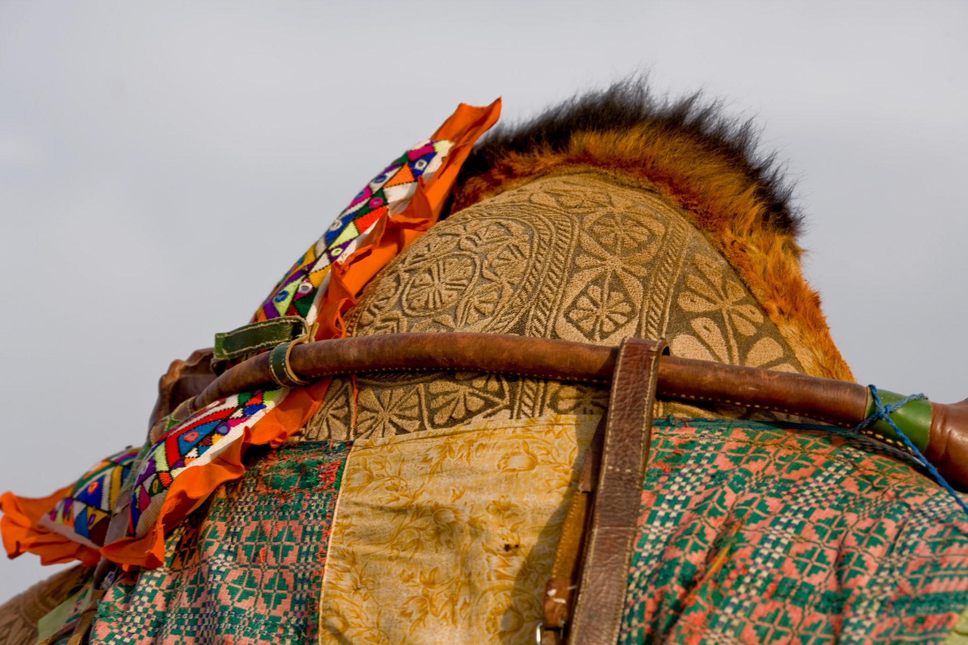 This is the Camel beauty in Cholistan desert, Pakistan. The job takes about 3 years to make an engraved patterns for an individual camels. First 2 years, there is just growing the hair. After that, starts trimming. Inhabitant of desert does not use the iron engraved for the camels. They just cut and dye the camel hair. I have never seen such a beautiful works in the world.