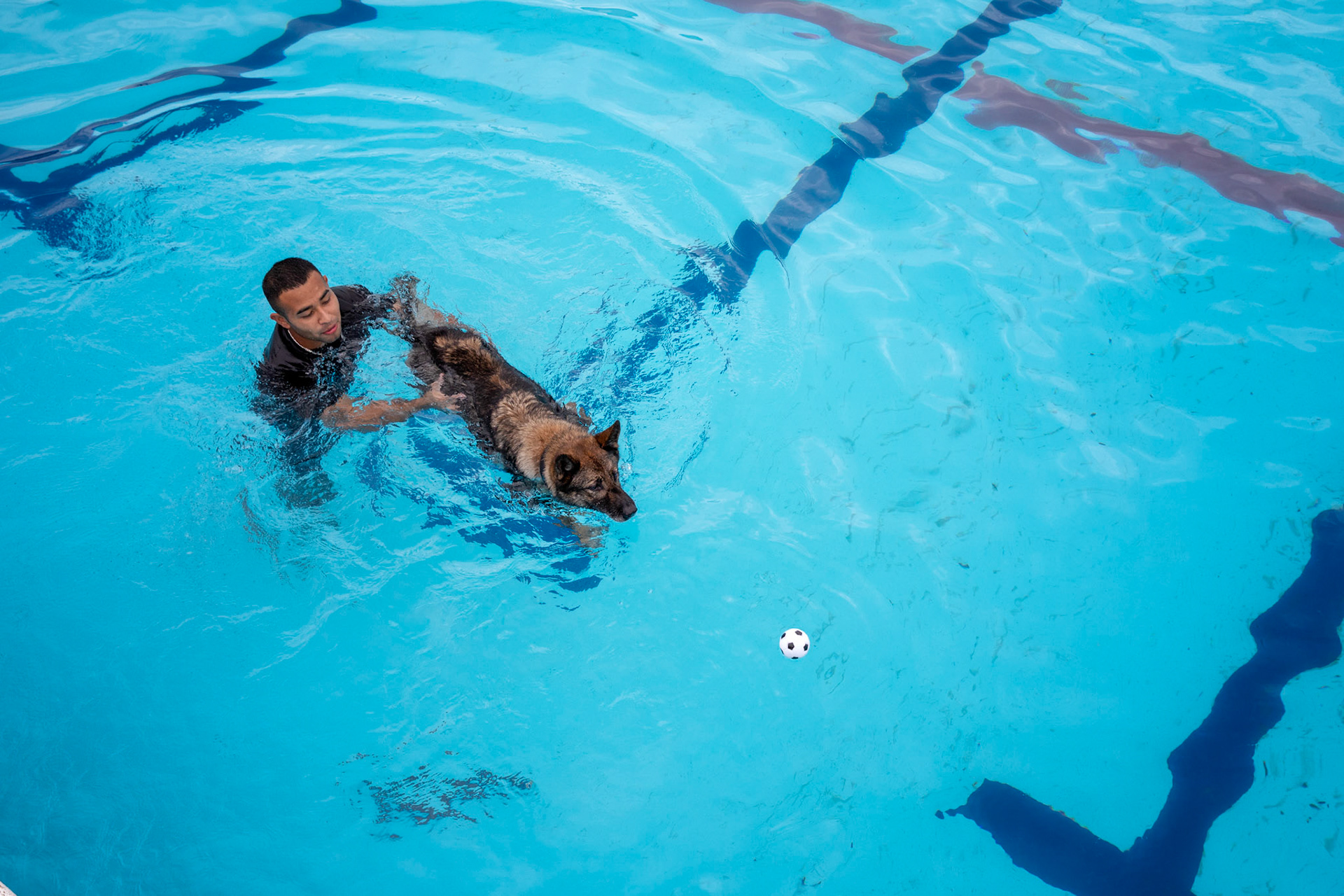 Staff Sgt. Mario Hernandez, 374th Security Forces Squadron military working dog handler, assist Demo, 374th SFS military working dog, during his first lesson in water-aggression training at Yokota Air Base, Japan, Sept. 12, 2018. The water aggression training offers a unique opportunity for working dogs to become familiar with water. (U.S. Air Force photo by Yasuo Osakabe)