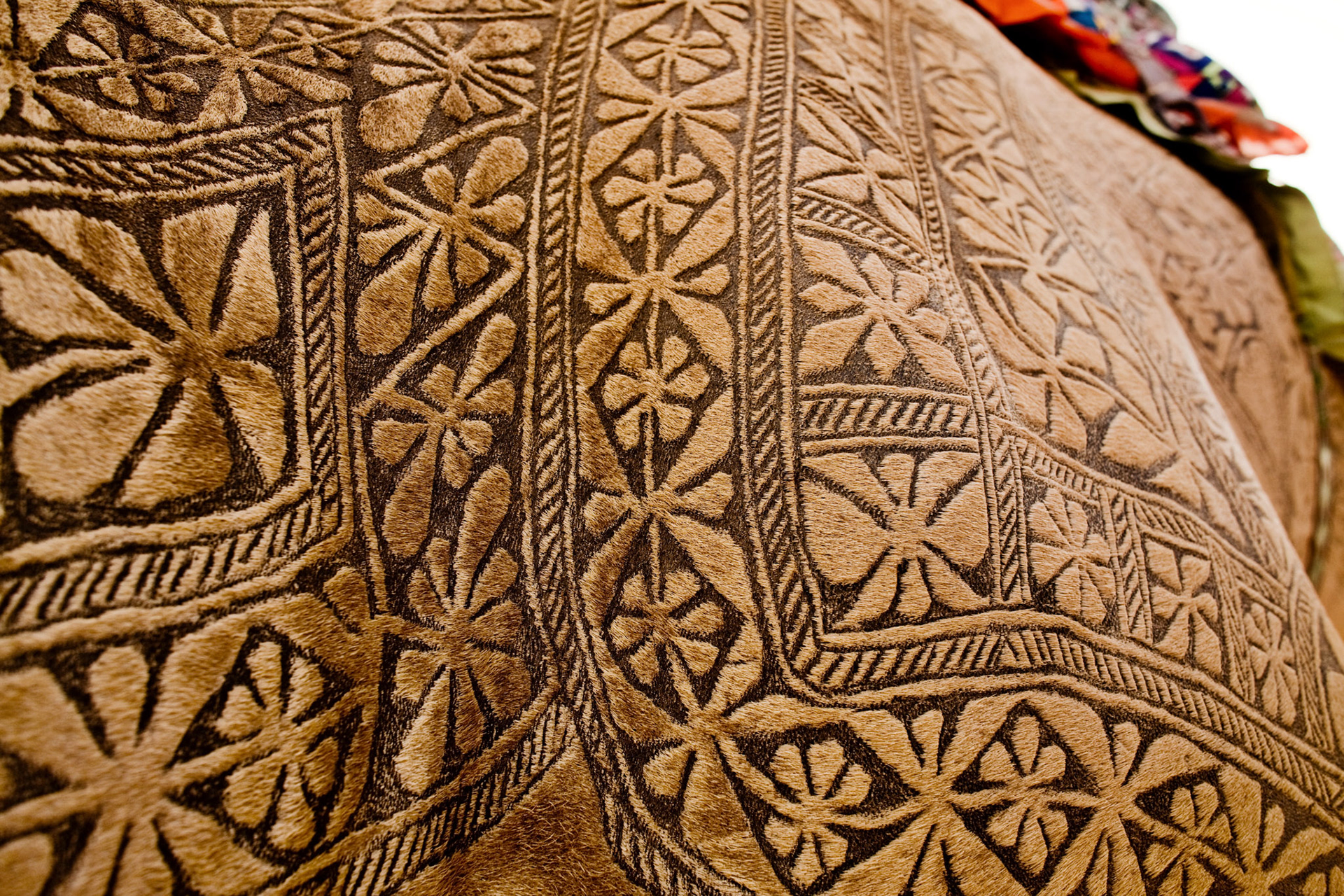 This is the Camel beauty in Cholistan desert, Pakistan. The job takes about 3 years to make an engraved patterns for an individual camels. First 2 years, there is just growing the hair. After that, starts trimming. Inhabitant of desert does not use the iron engraved for the camels. They just cut and dye the camel hair. I have never seen such a beautiful works in the world.