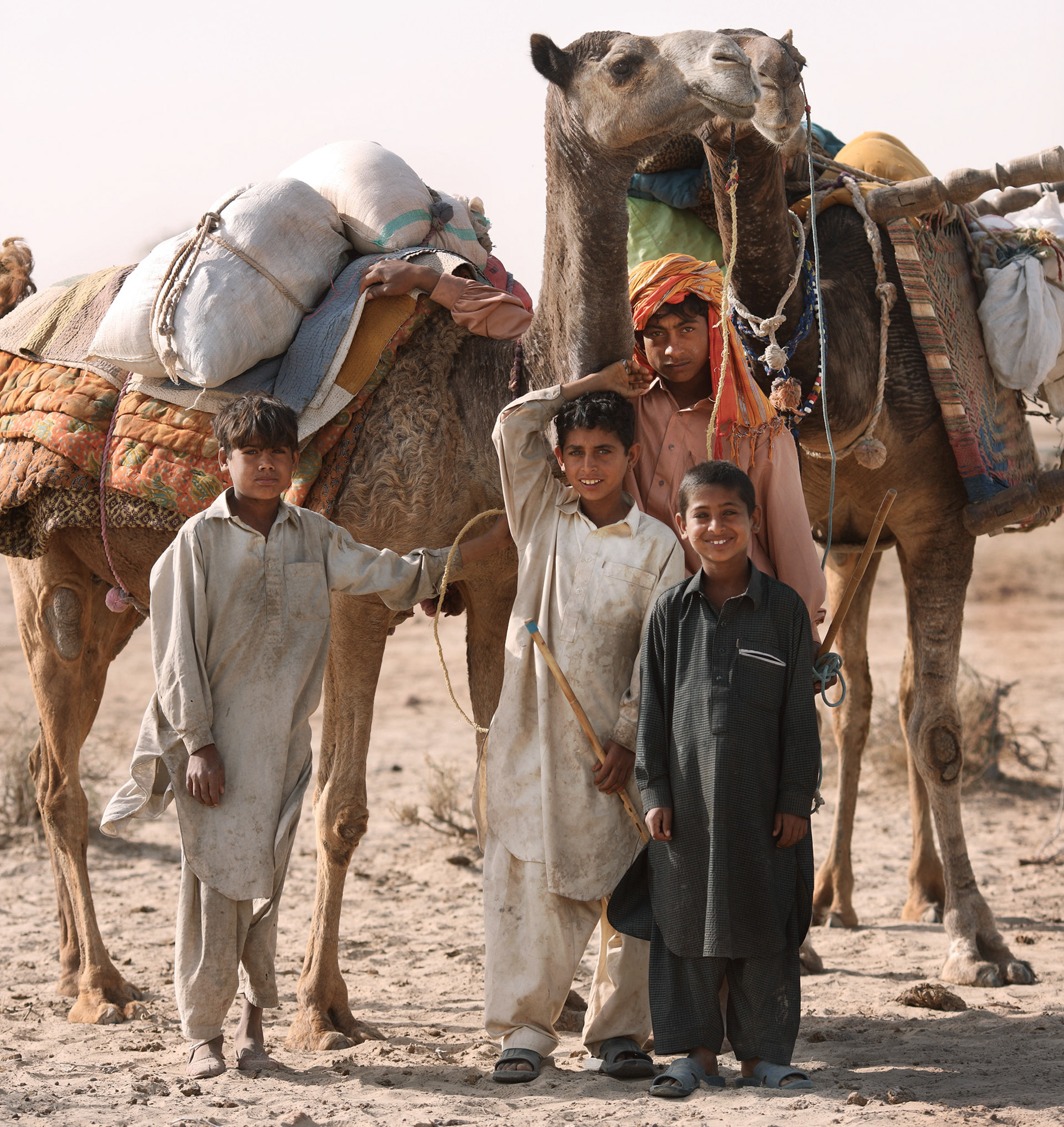 A Children packed their furniture and household goods on the camel and had been moving to a next oasis.