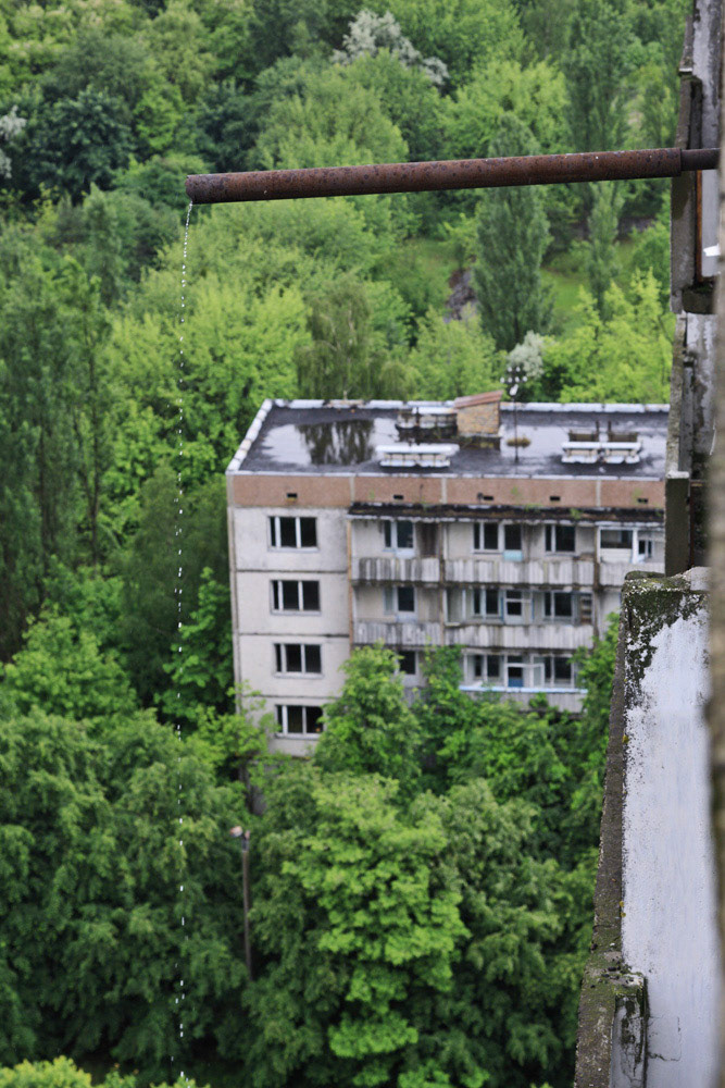 A piece of silence drops from a rusty drain into the ground and makes more green and silence.
