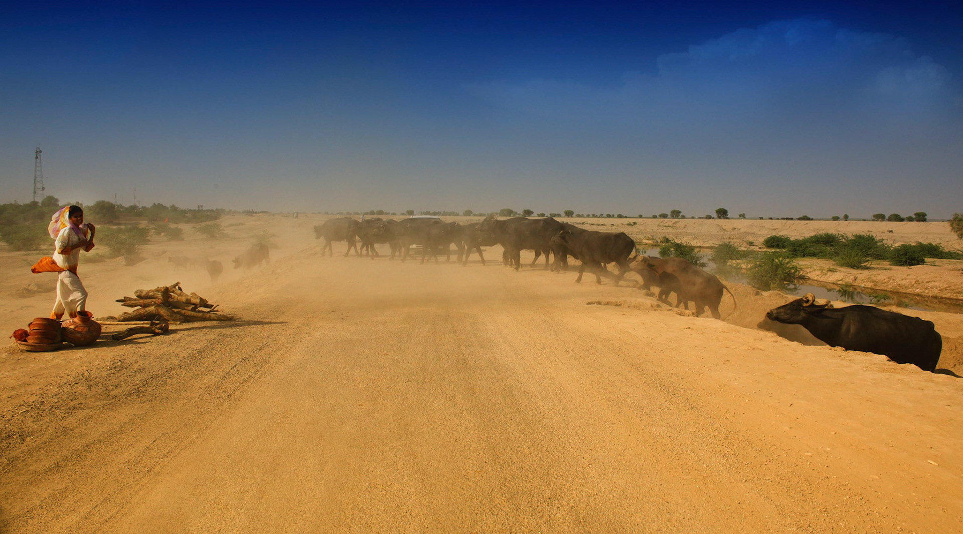 It was a blue sky, balmy breeze from indus river. Buffalos crossed over the road, and sandy breeze passed through.I felt the air this moment... (Travel)