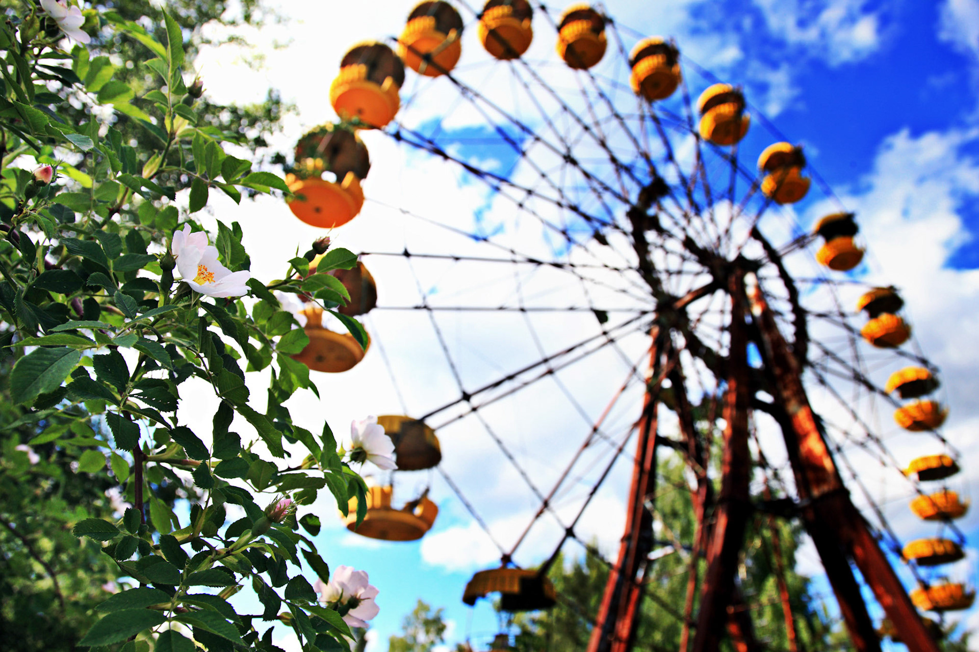 The Ferris wheel stands in a small amusement park in the abandoned city of Pripyat, Ukraine, located in the Chernobyl Exclusion Zone. The amusement park was scheduled to officially open on May 1, but the city was evacuated on April 27, 1986. 23 years later now, The amusement park is surrunding by Dog Roses, poplars, and sounds of winds.