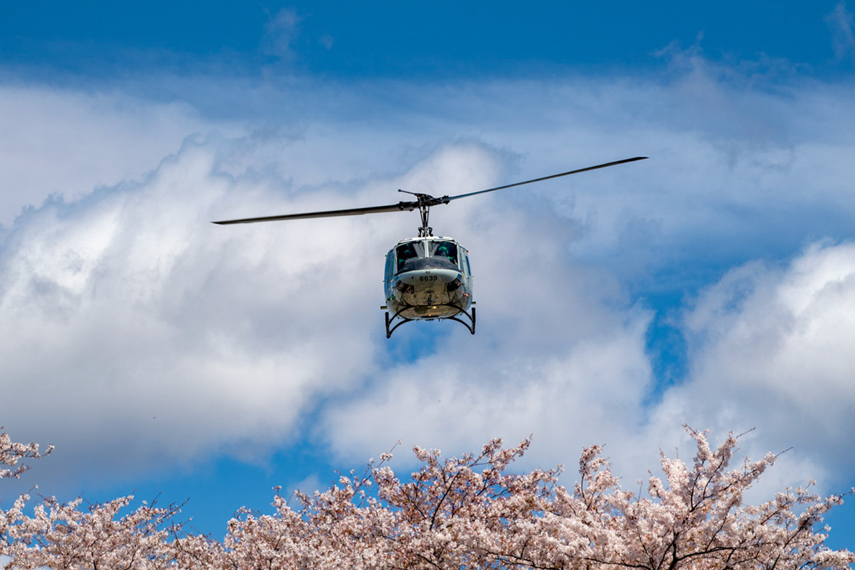 An Air Force UN-1N Iroquois assigned to the 459th Airlift Squadron flies over Yokota Air Base, Japan, during a training mission April 11, 2019. Sakura trees bloomed at Yokota three days later than last year. (U.S. Air Force photo by Yasuo Osakabe)