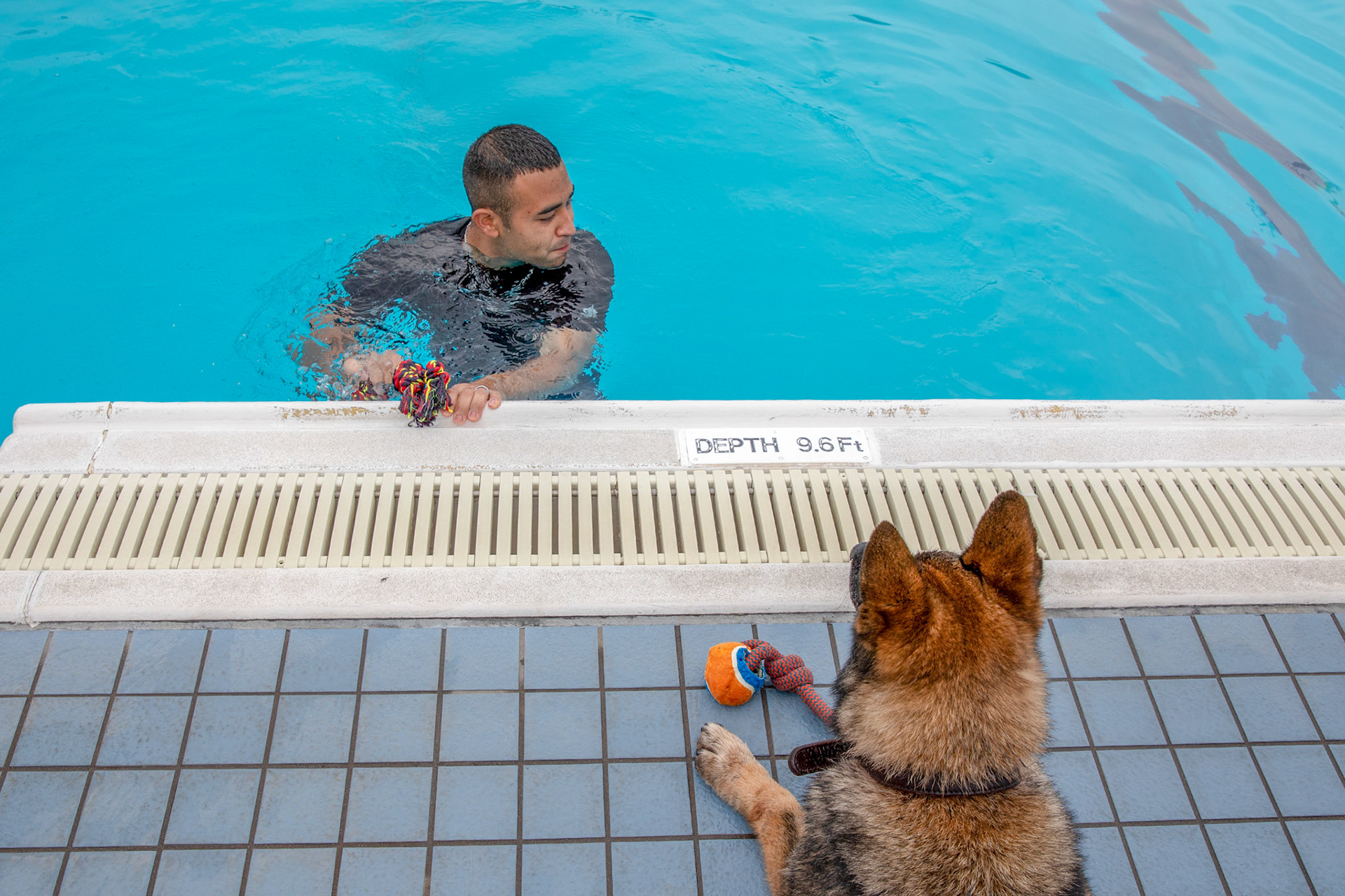 Demo, 374th Security Forces Squadron military working dog, listens to instructions during a water-based aggression training at Yokota Air Base, Japan, Sept. 12, 2018. Demo performed his first-time water aggression training at Yokota AB. (U.S. Air Force photo by Yasuo Osakabe)