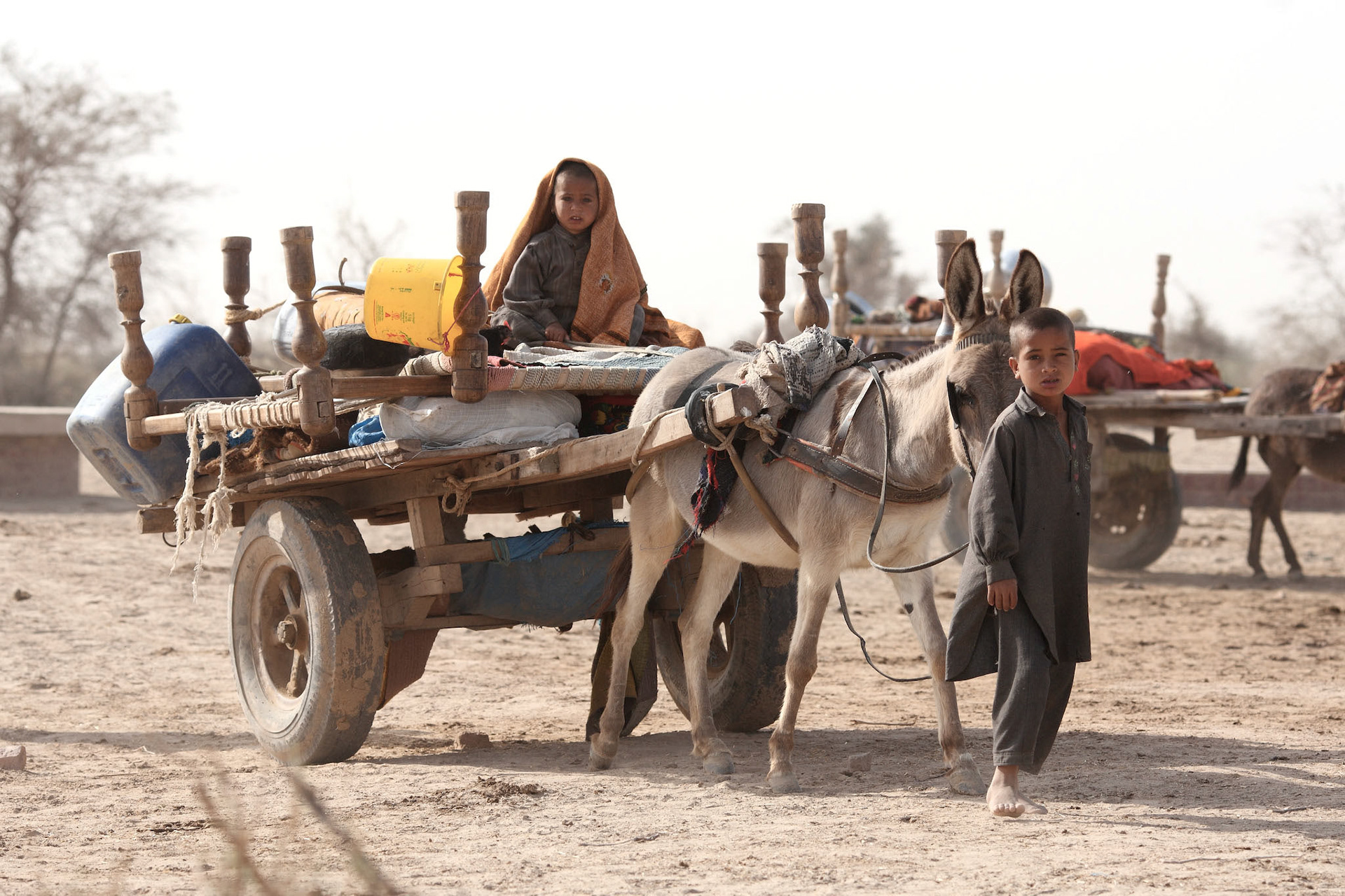 A Children packed their furniture and household goods on the camel and had been moving to the next site. (Travel)