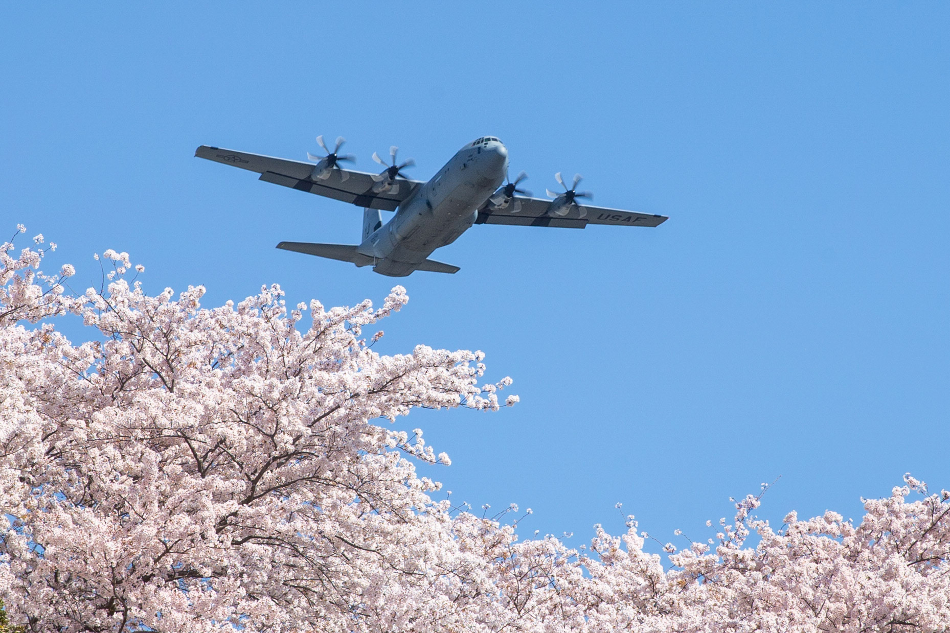 An Air Force C-130J Super Hercules assigned to the 36th Airlift Squadron flies over Yokota Air Base, Japan, during a training mission, March 30, 2018. Sakura trees bloomed at Yokota eight days earlier that last year. (U.S. Air Force photo by Yasuo Osakabe)
