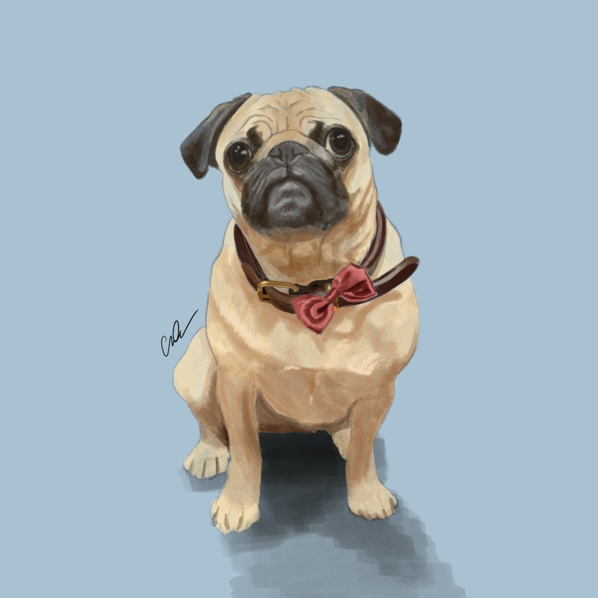 Digital Illustration
