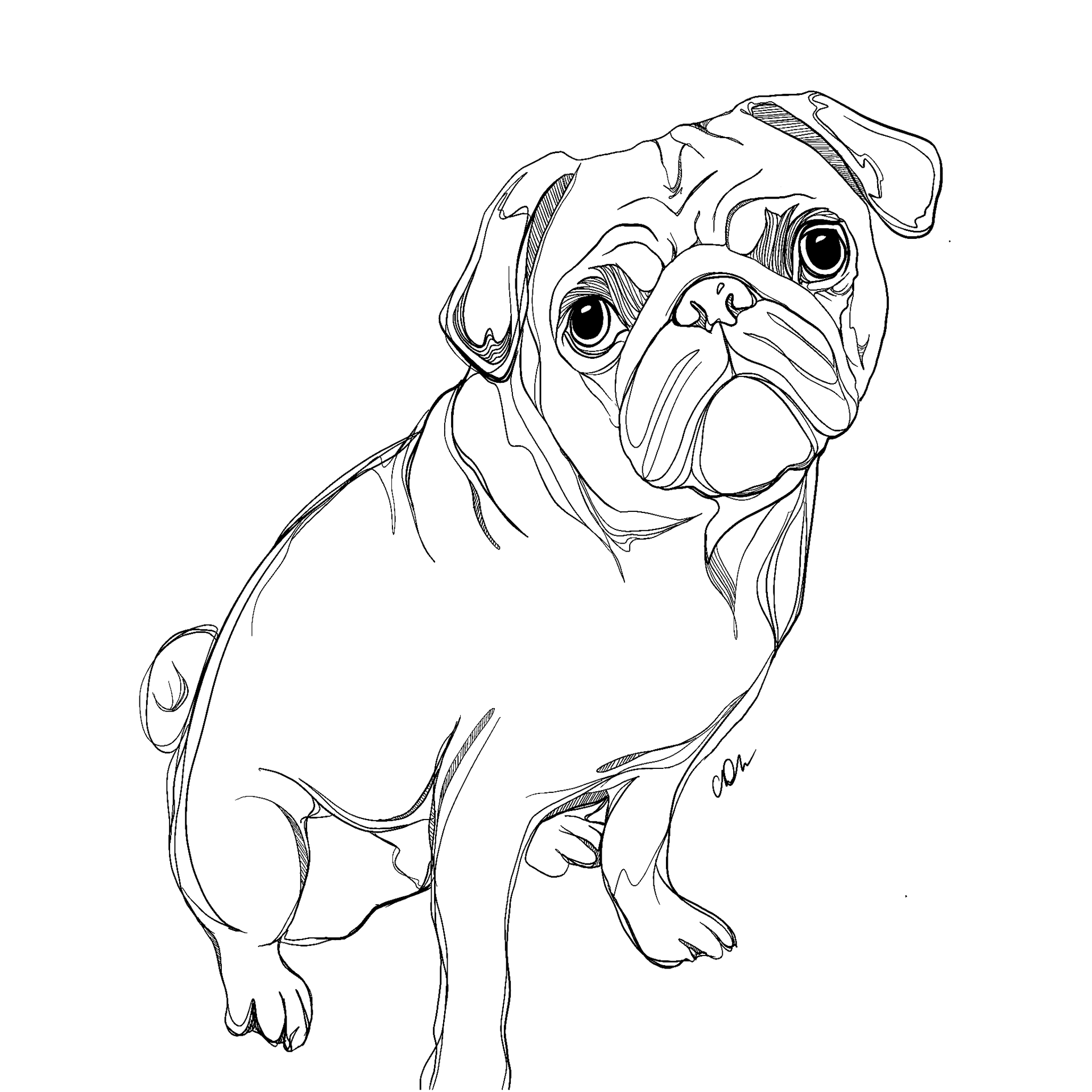 Digital Illustration