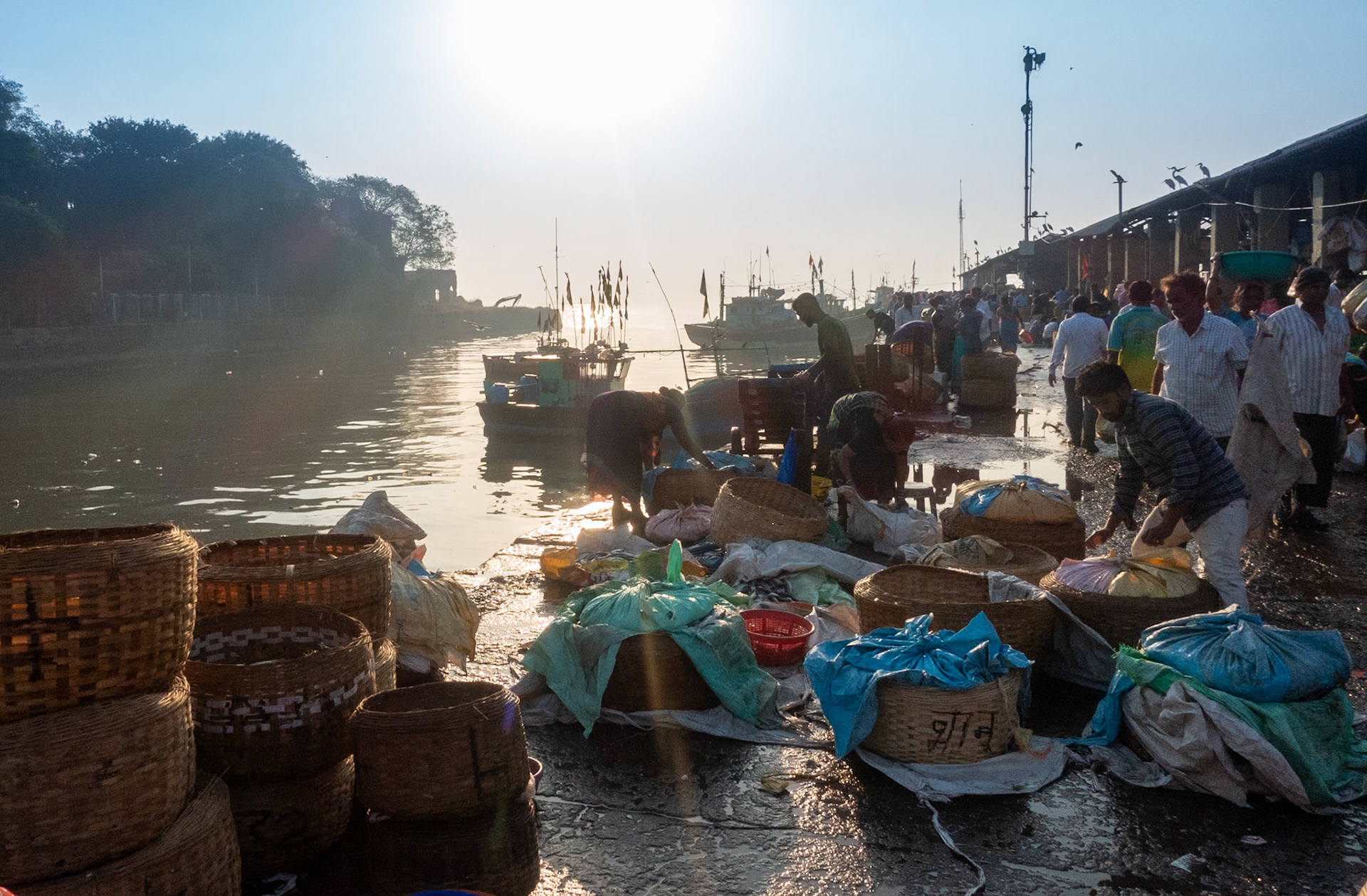 Mubai: Sassoon docks