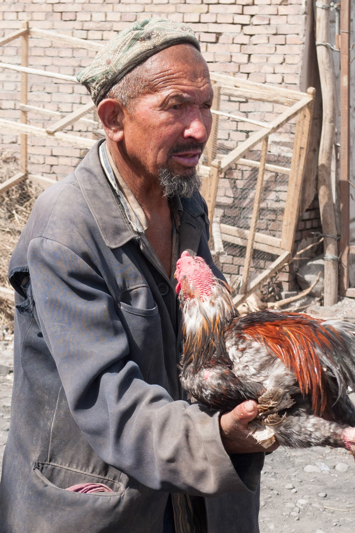 Kashgar: Pigeon Market - not a pigeon