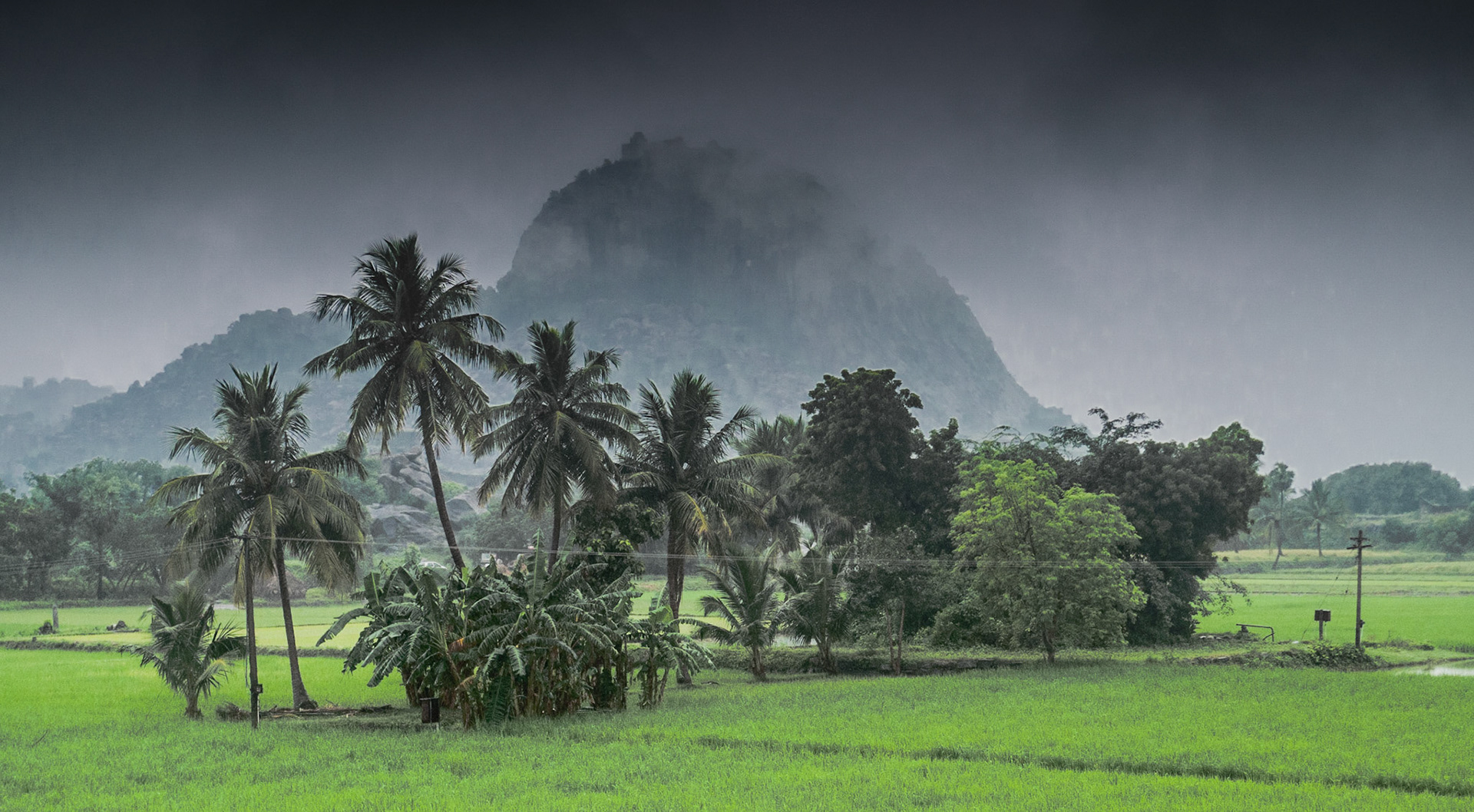 Gingee: Vijayanager fort