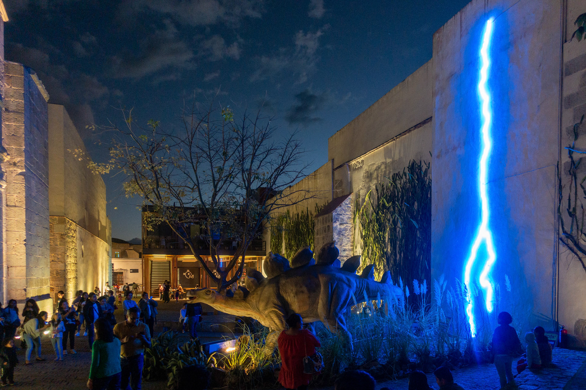 Oaxaca: Not sure what this was