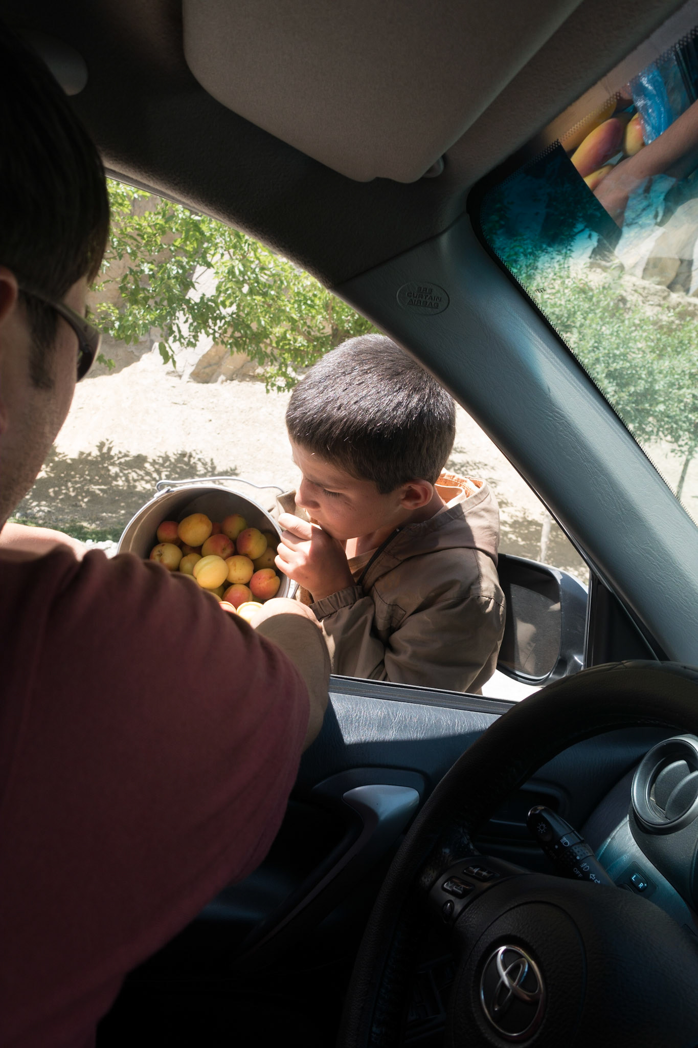 Kali-Kum to Khorog: Apricots