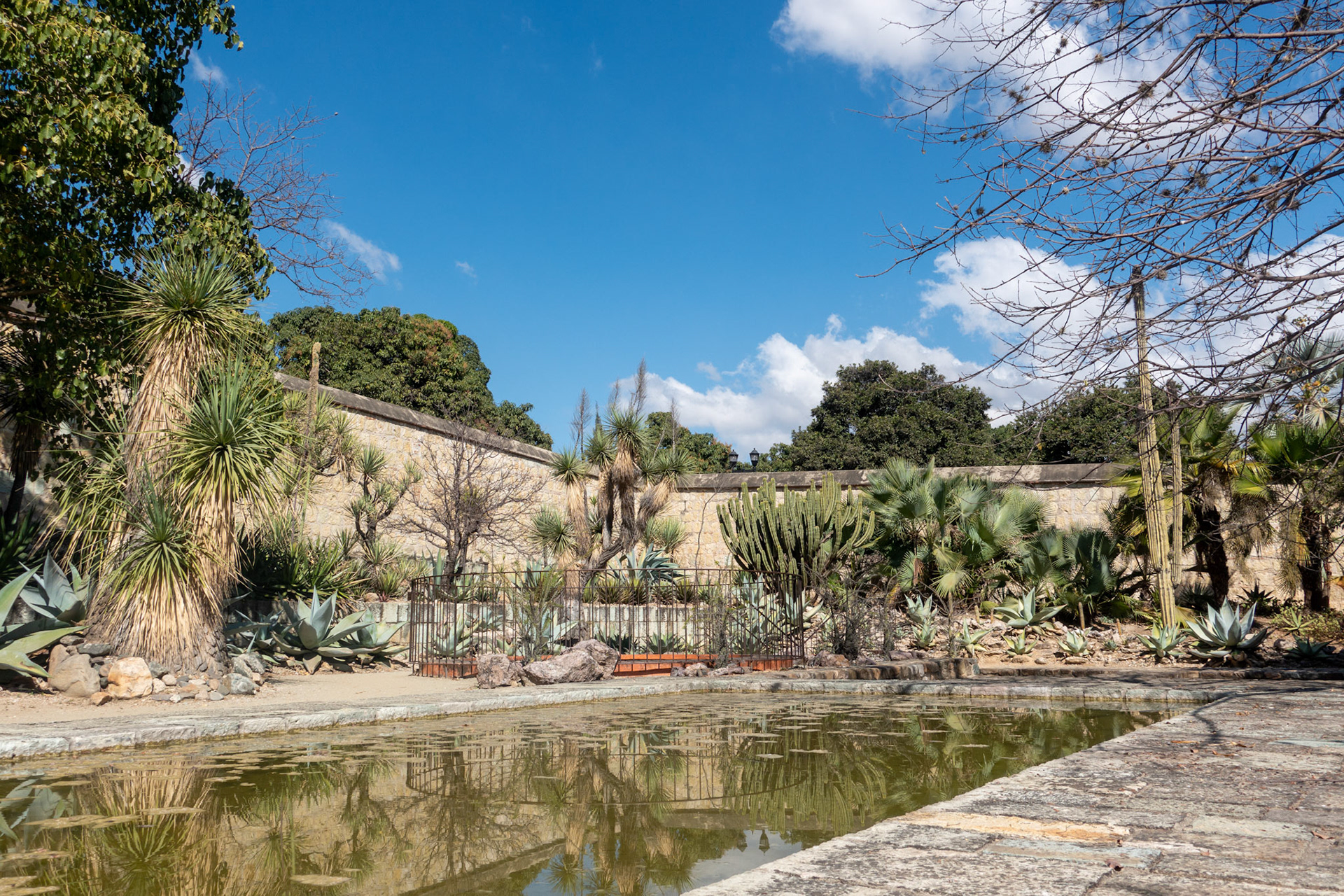 Oaxaca: Jardin Etmobotanico