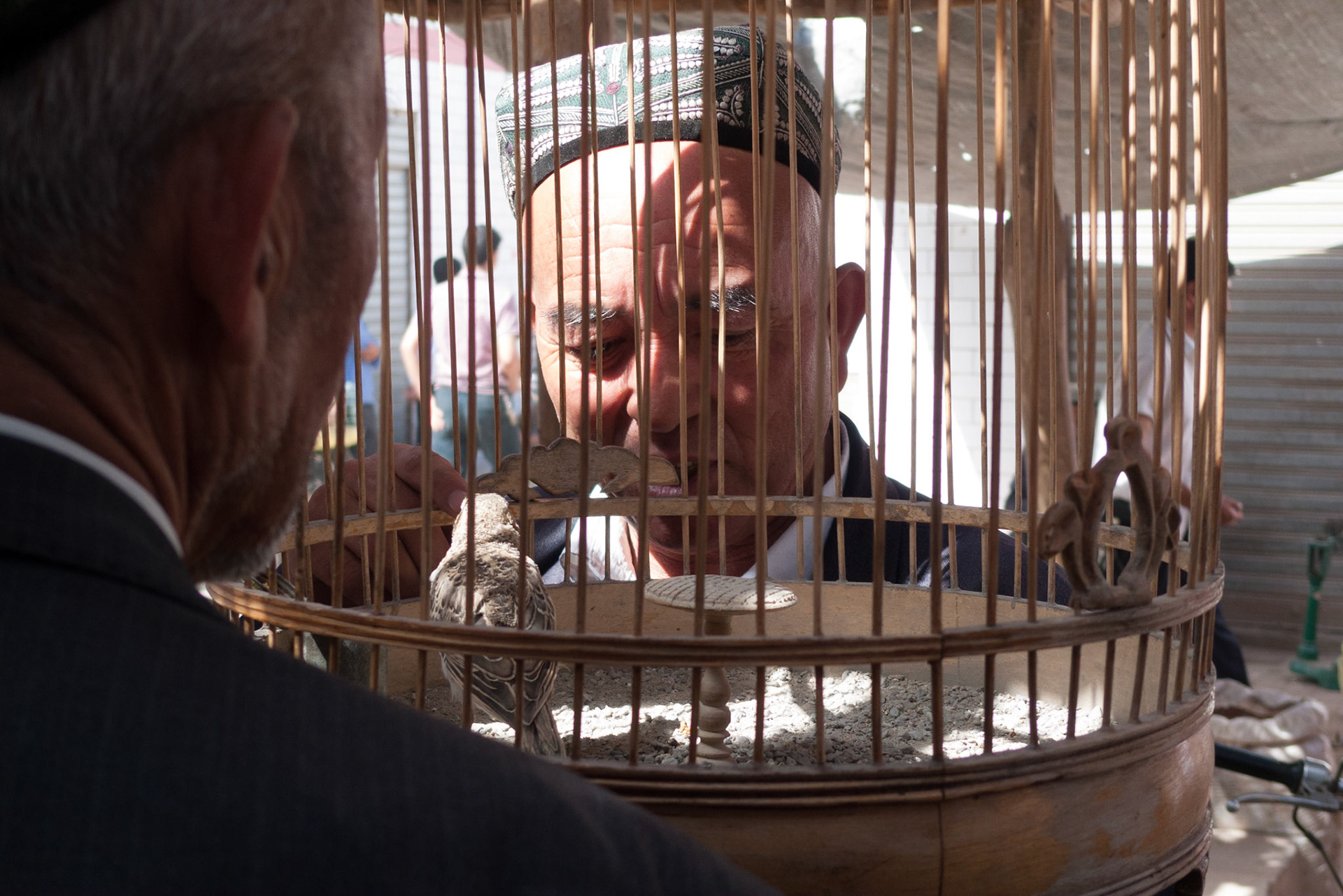 Kashgar: Pigeon Market