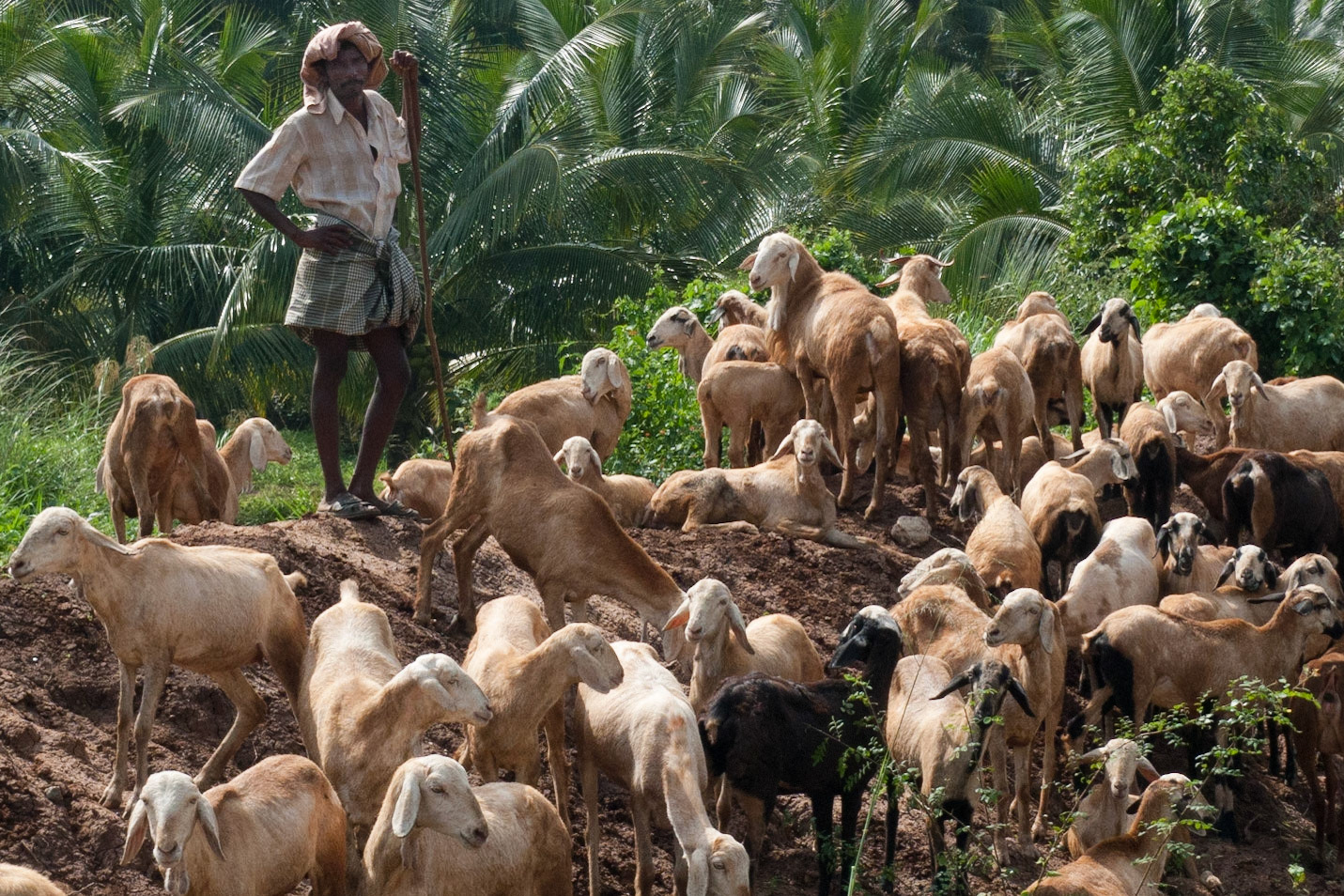 Cardamom House: walk round lake