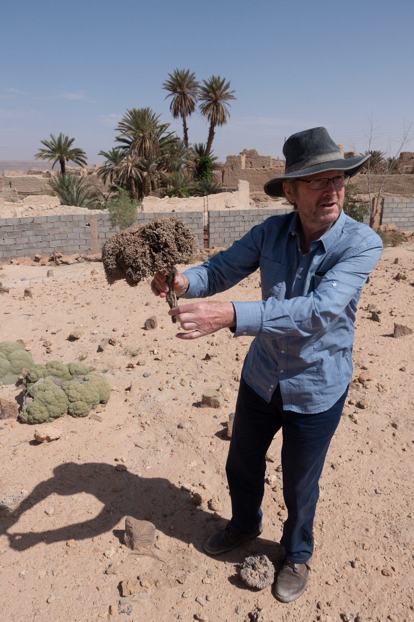 Tagit: Bernard explaing that  roots go down many meters into sand