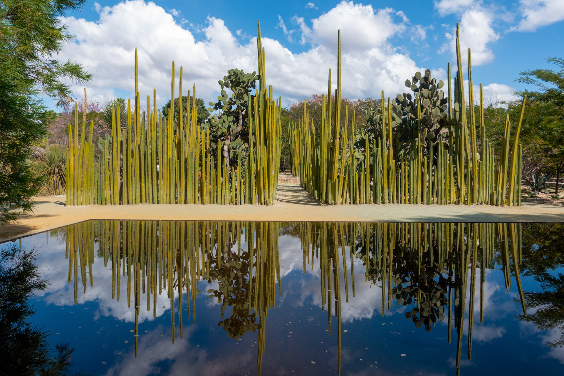 Oaxaca: Jardin Etmobotanico