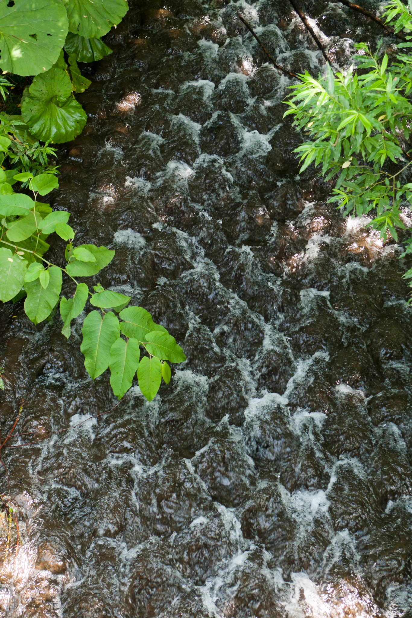 Utoro to Abashiri:  Even the streams are Japanese
