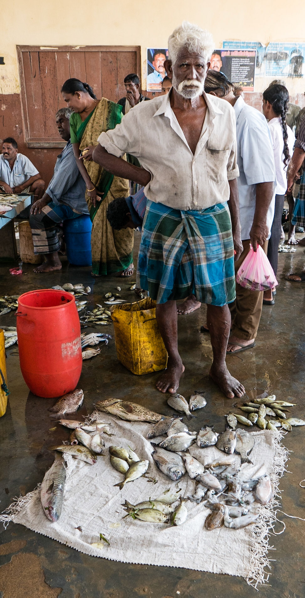 Jaffna: Fish Market