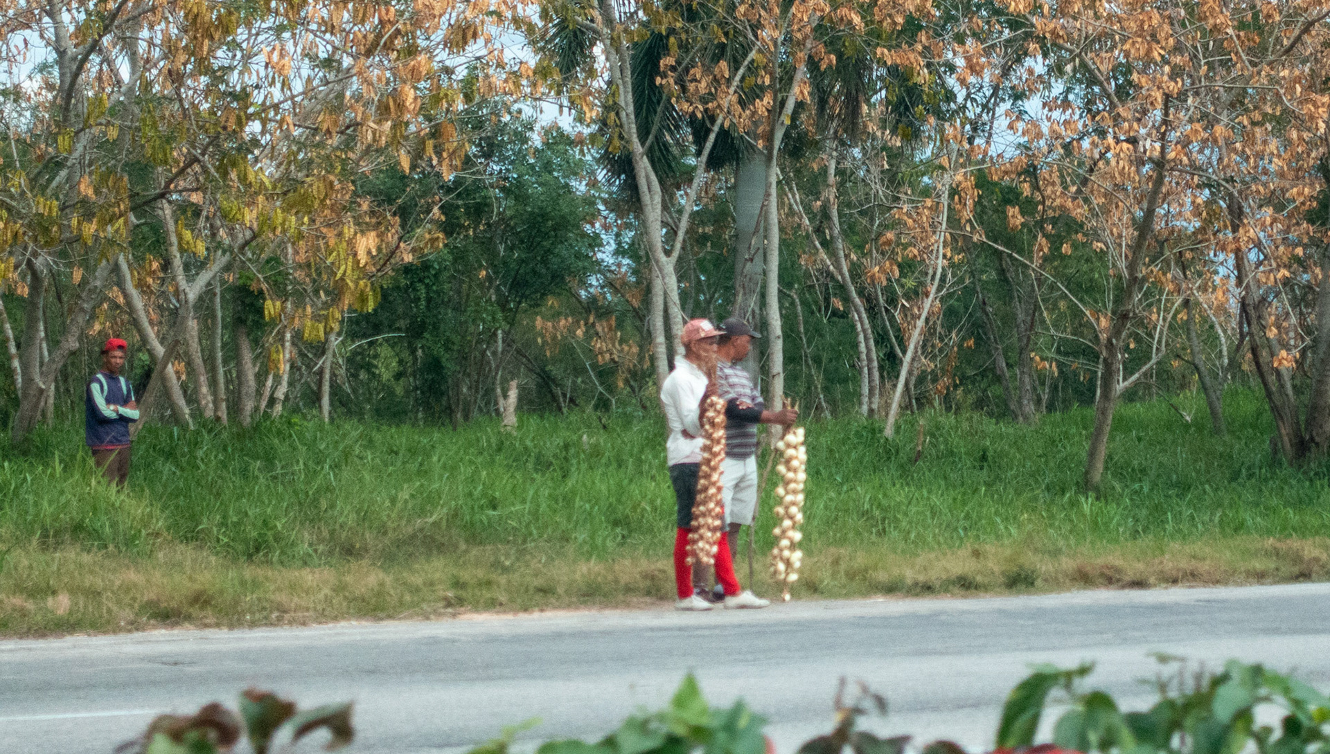 Road to Playa Larga: Onion Sellers