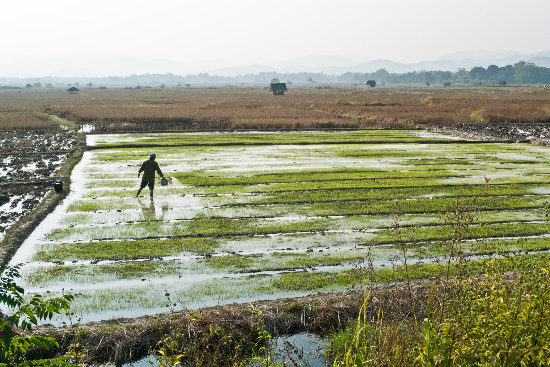 Luang Namtha: Bike Ride